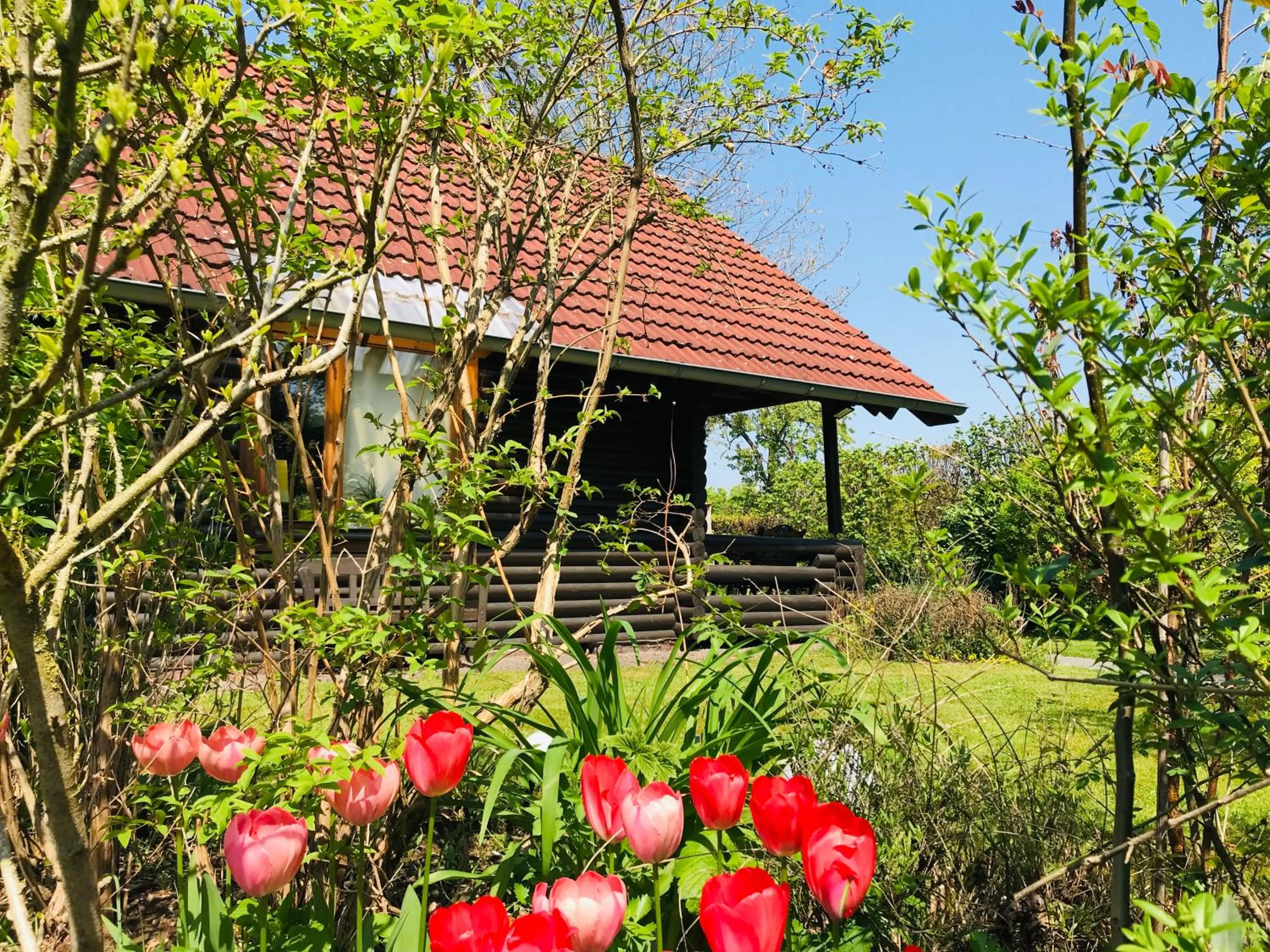 Eifel-Lounge - Monteurswohnung