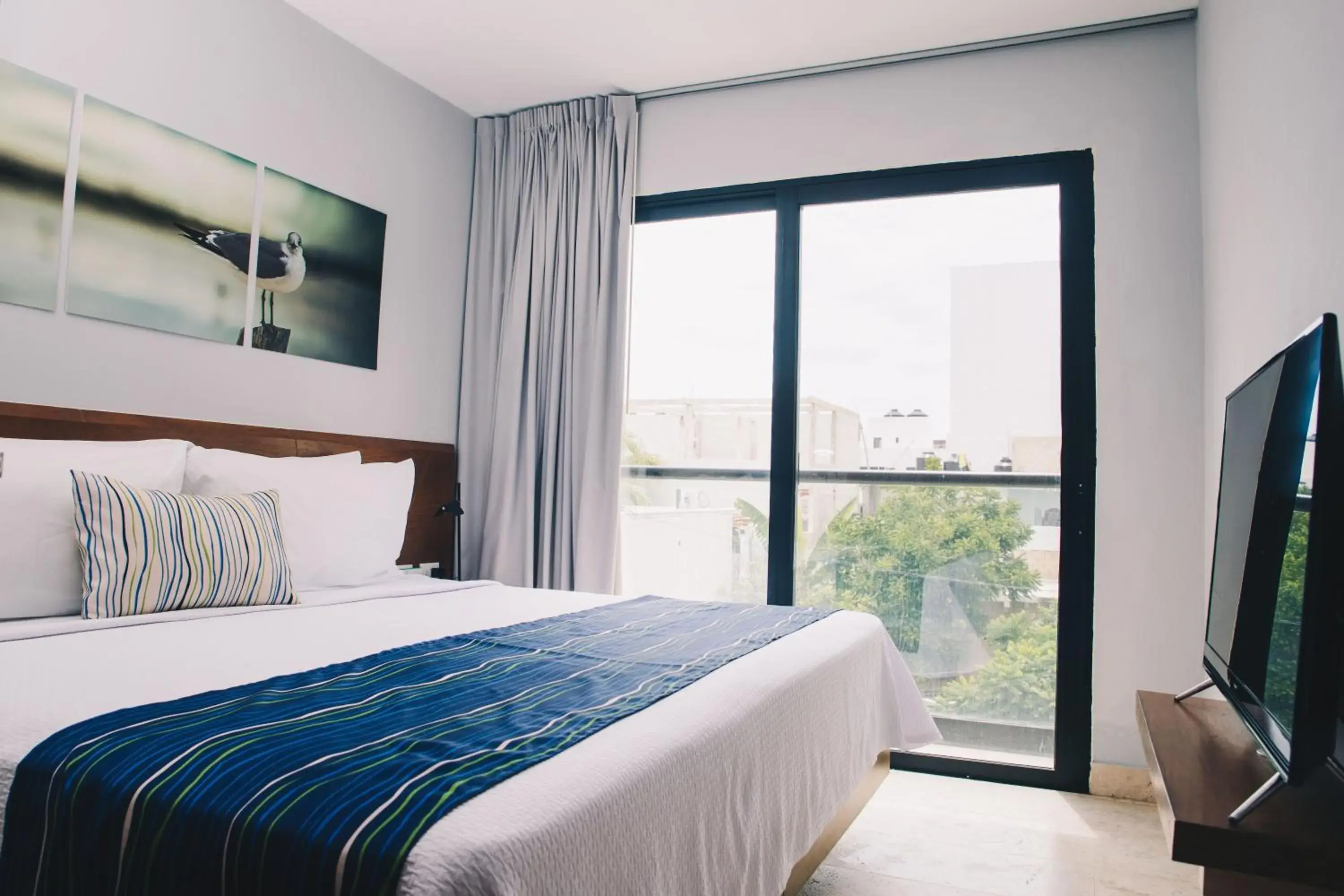 Junior Suite in Hotelito del Mar Playa del Carmen Junior Suite in Hotelito del Mar Playa del Carmen