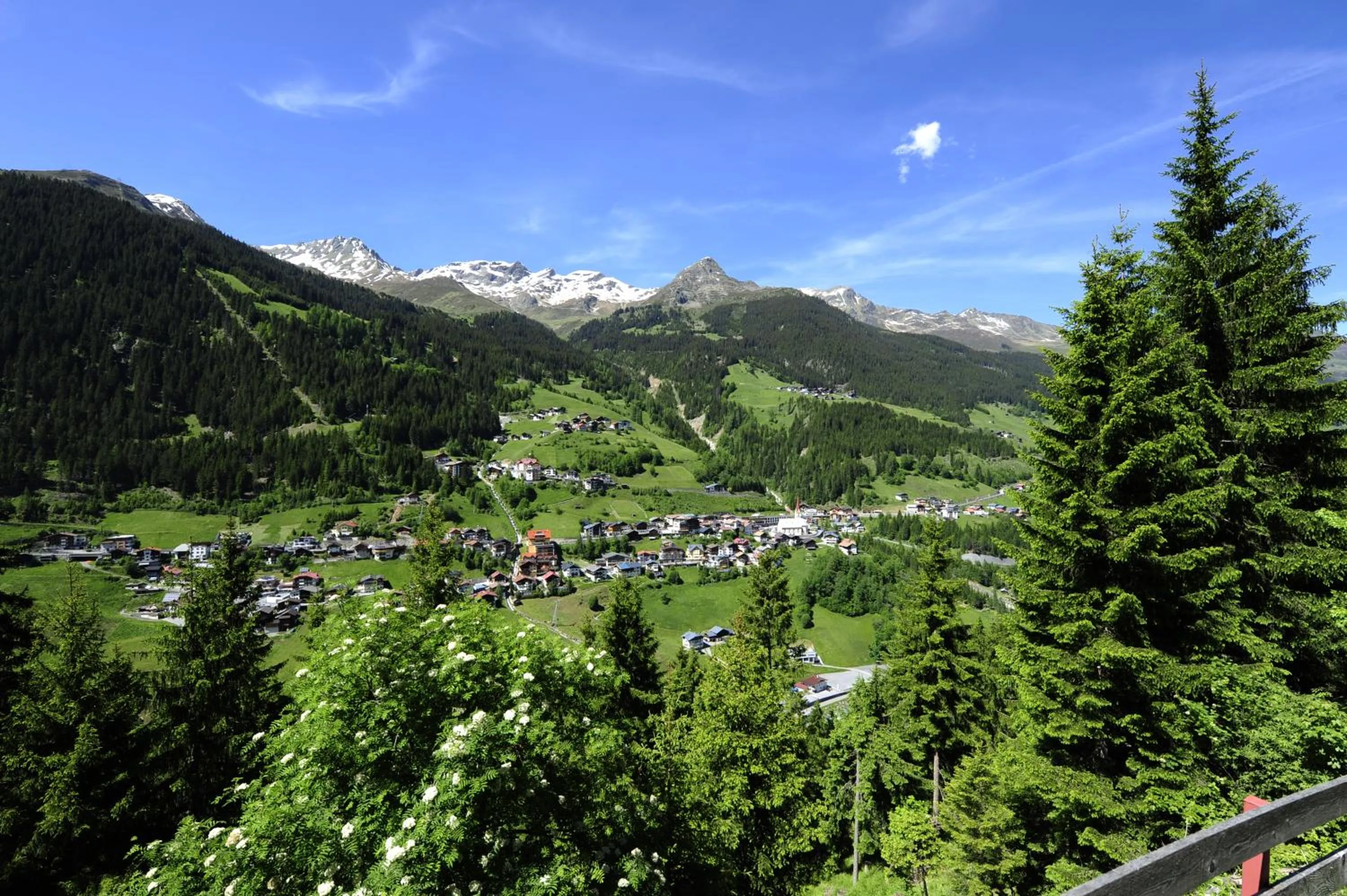 Natural landscape in Hotel Dorfstadl