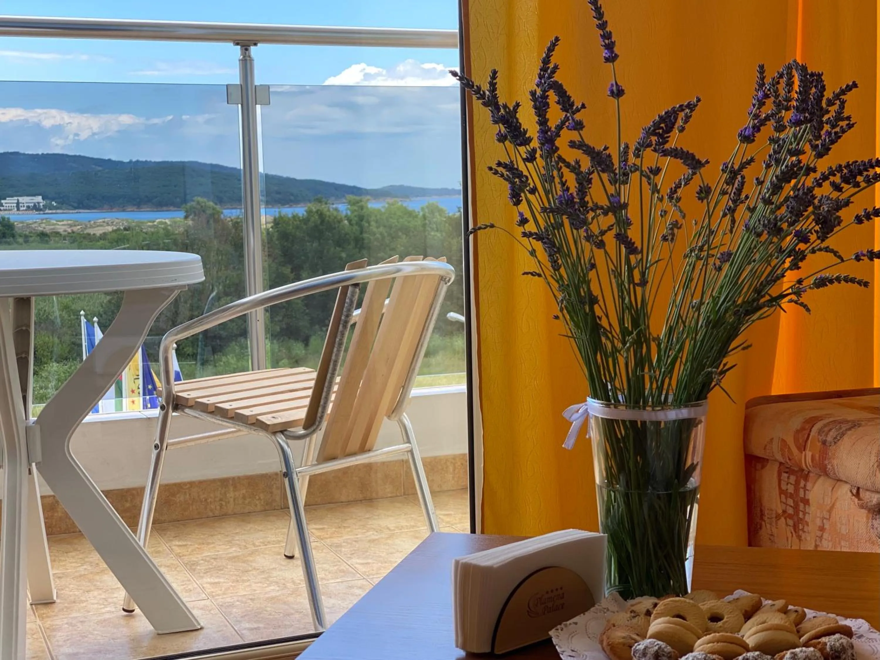 Balcony/Terrace in Hotel Plamena Palace