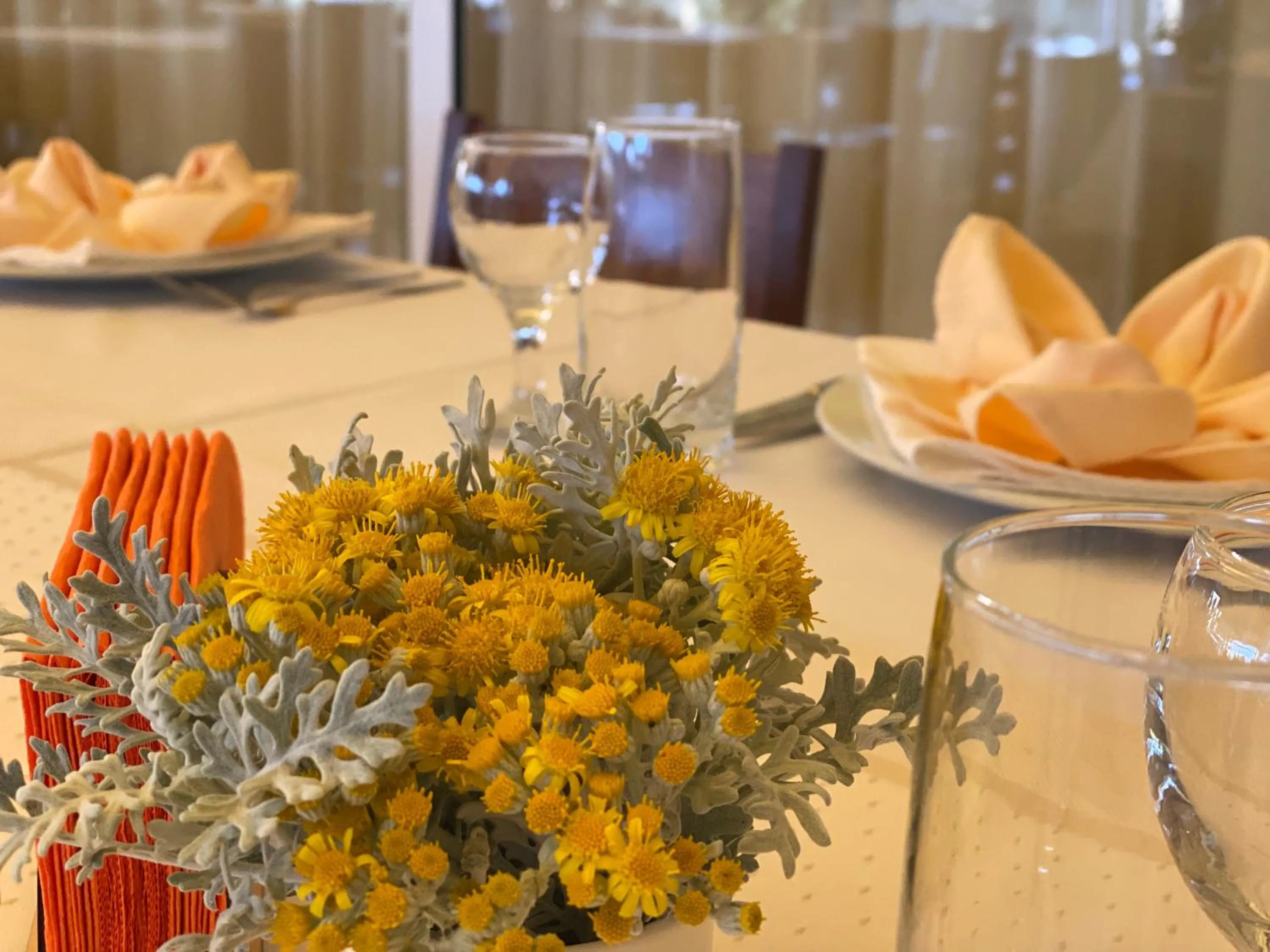 Food and drinks in Hotel Plamena Palace