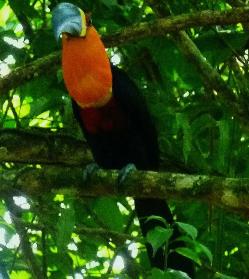 Aconchego 3 dorms, piscina, churrasq em Condomínio Fechado