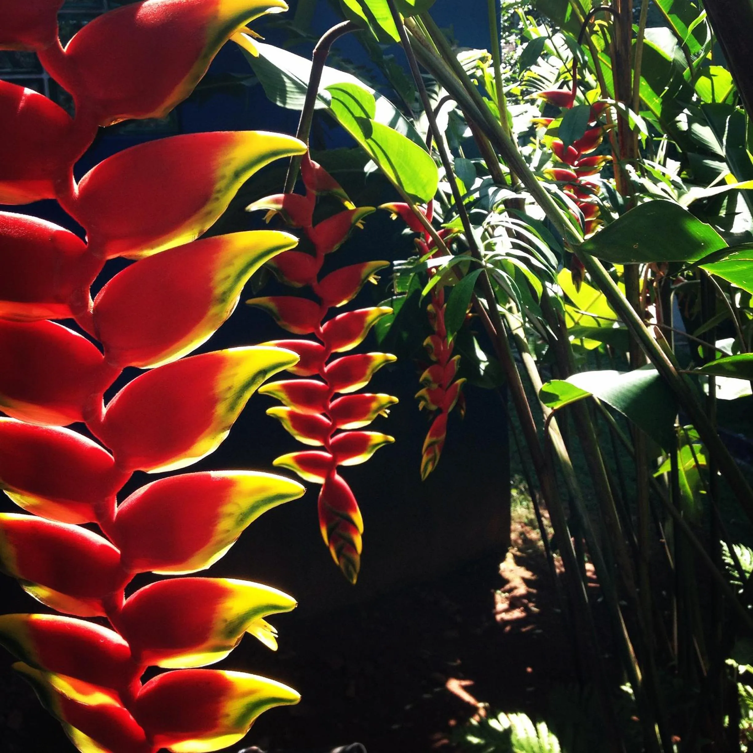 Garden in Aconchego 3 dorms, piscina, churrasq em Condomínio Fechado