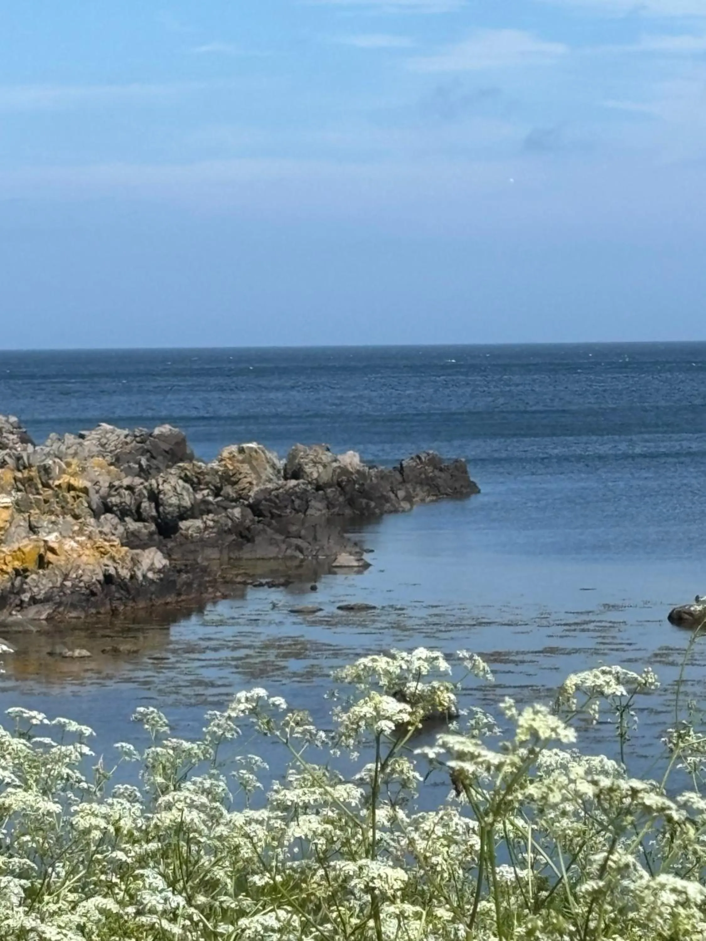 Beach in JANTZENs HOTEL