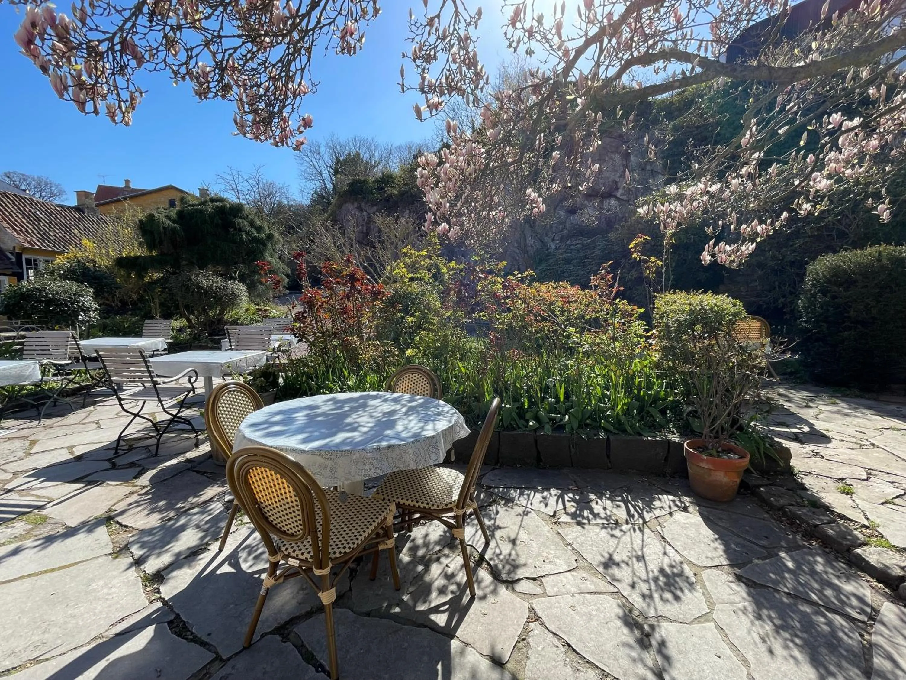 Natural landscape in JANTZENs HOTEL