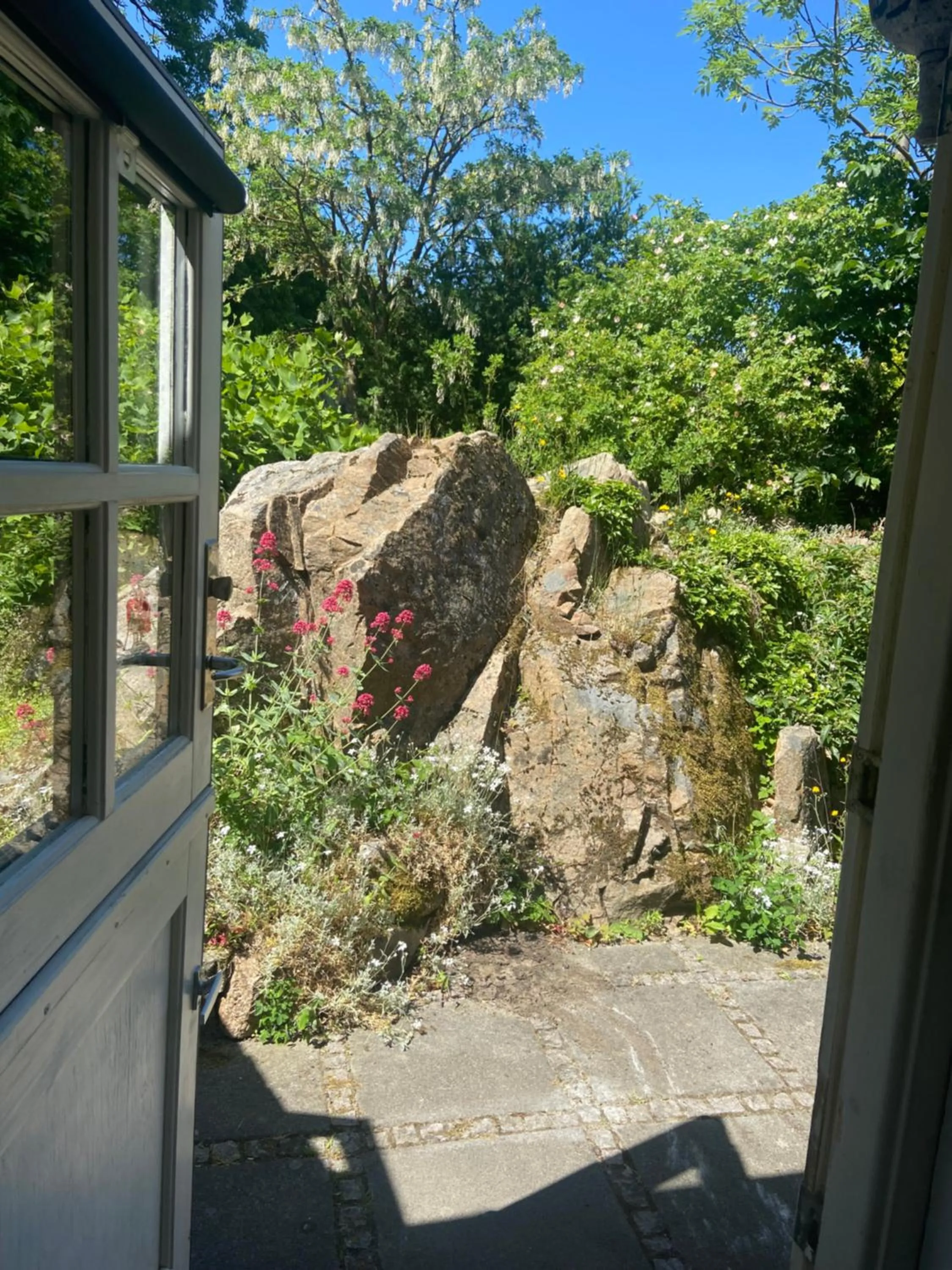 Garden view in JANTZENs HOTEL