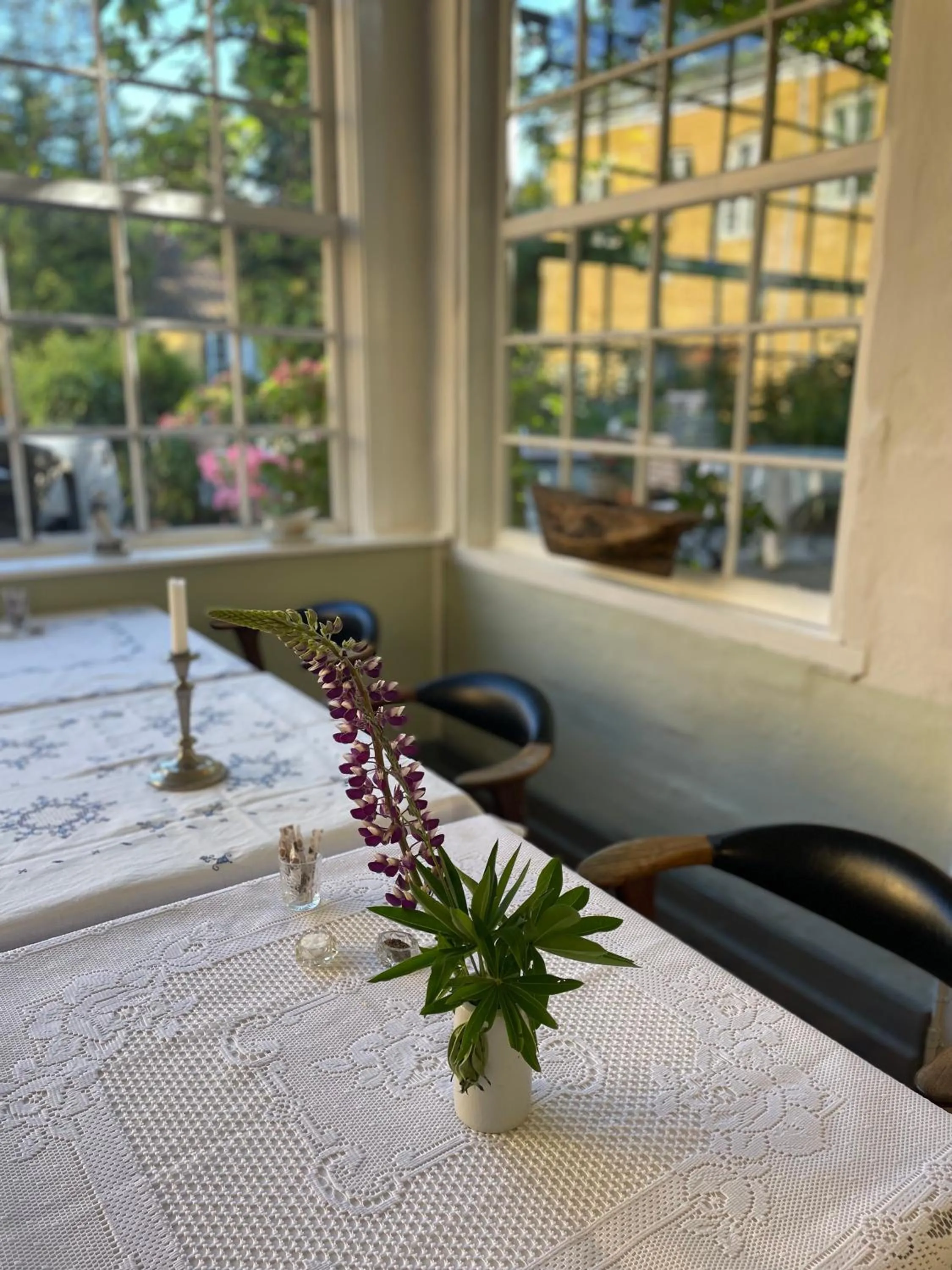 Restaurant/places to eat in JANTZENs HOTEL