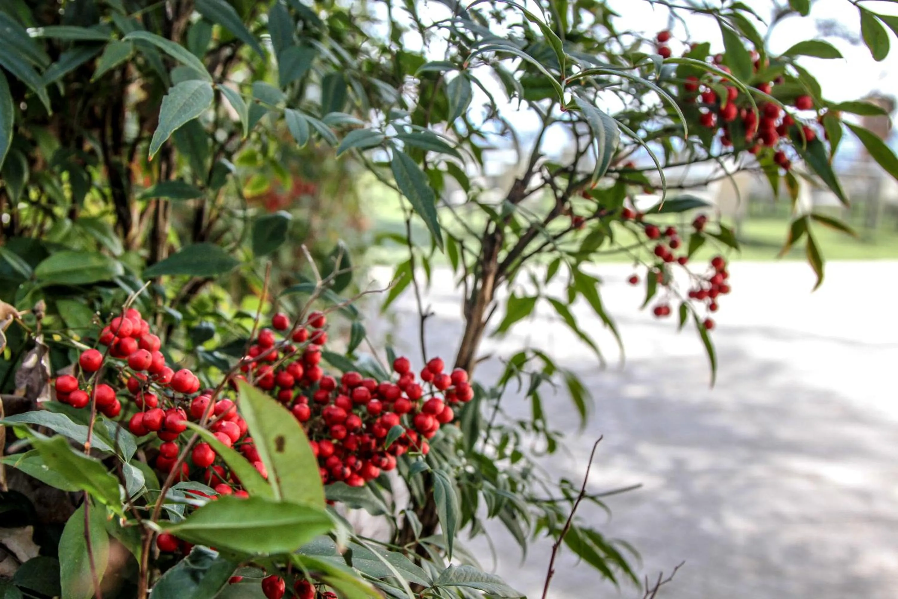 Spring in La Locanda Del Pontefice - Luxury Country House
