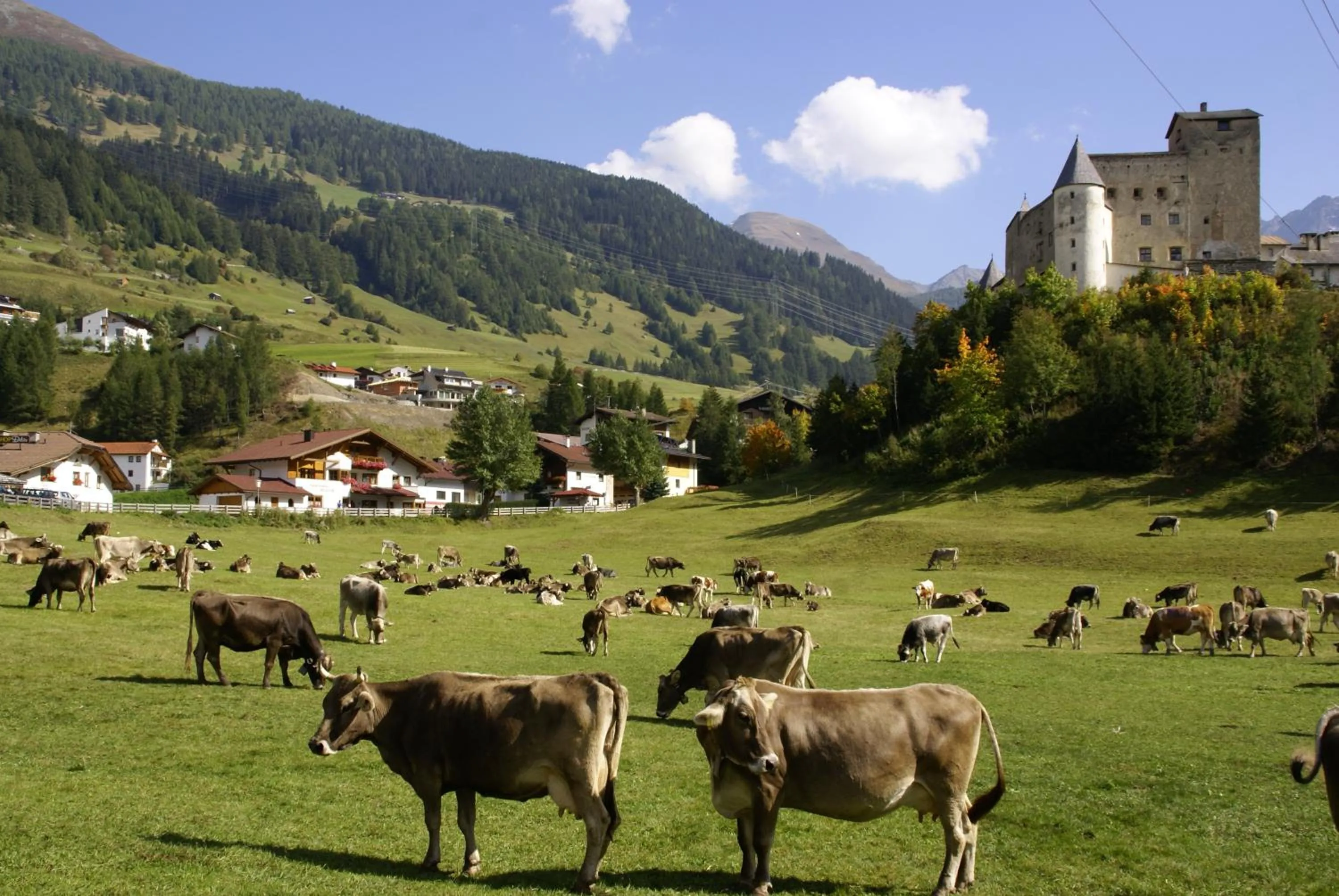 Area and facilities in Pension Tirol