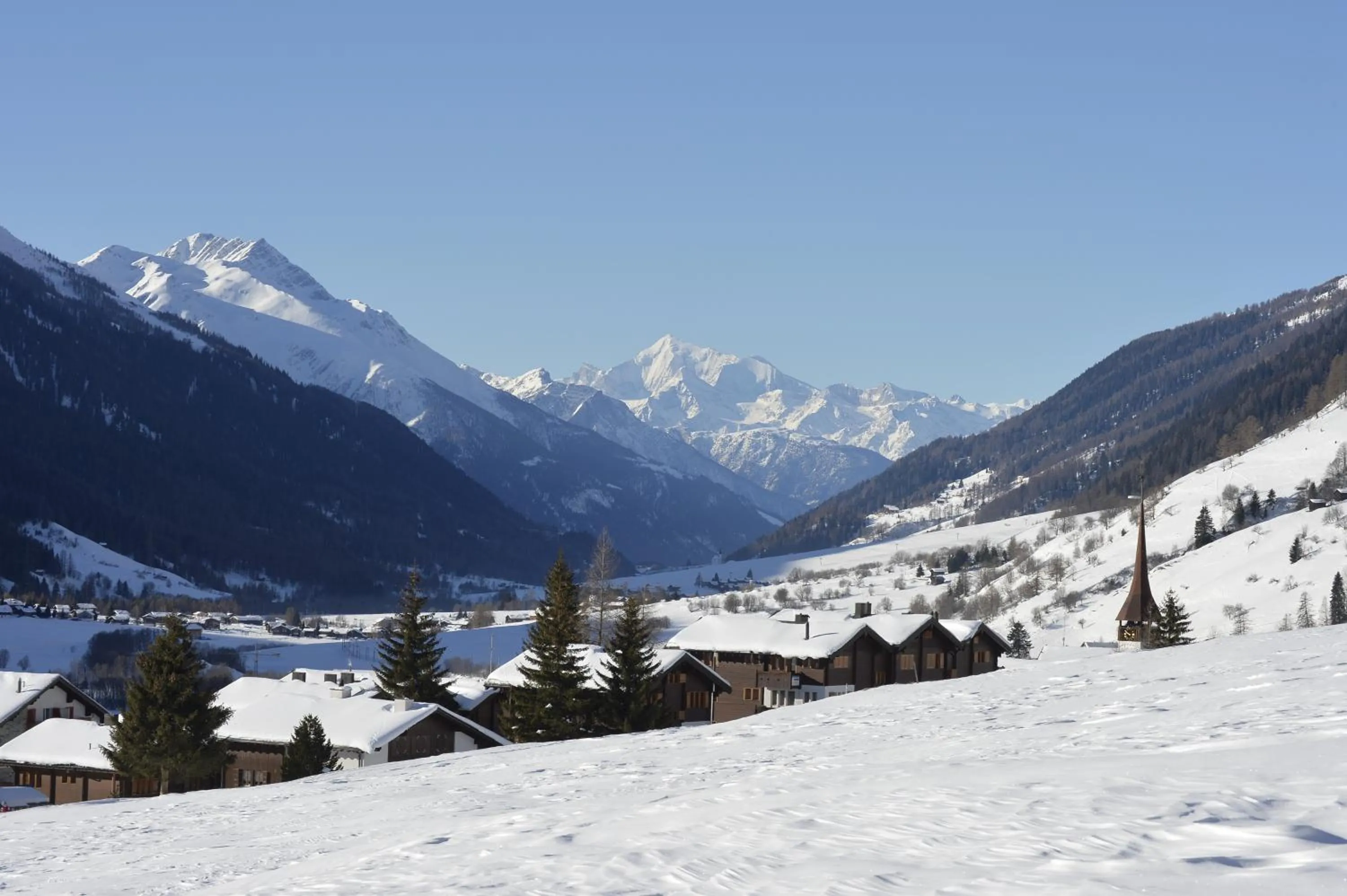 Natural landscape in Hotel-Restaurant Drei Tannen