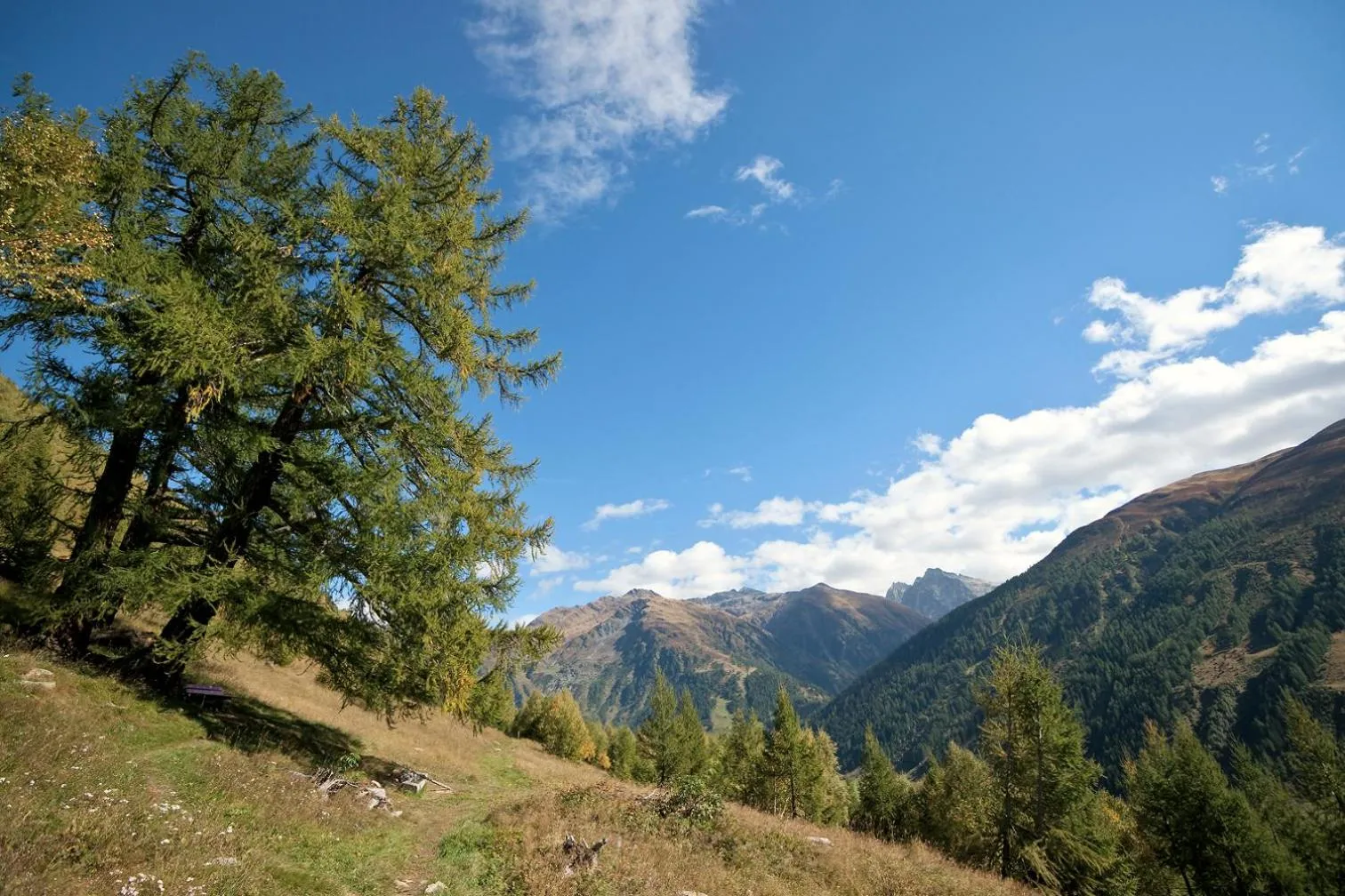 Activities in Hotel-Restaurant Drei Tannen