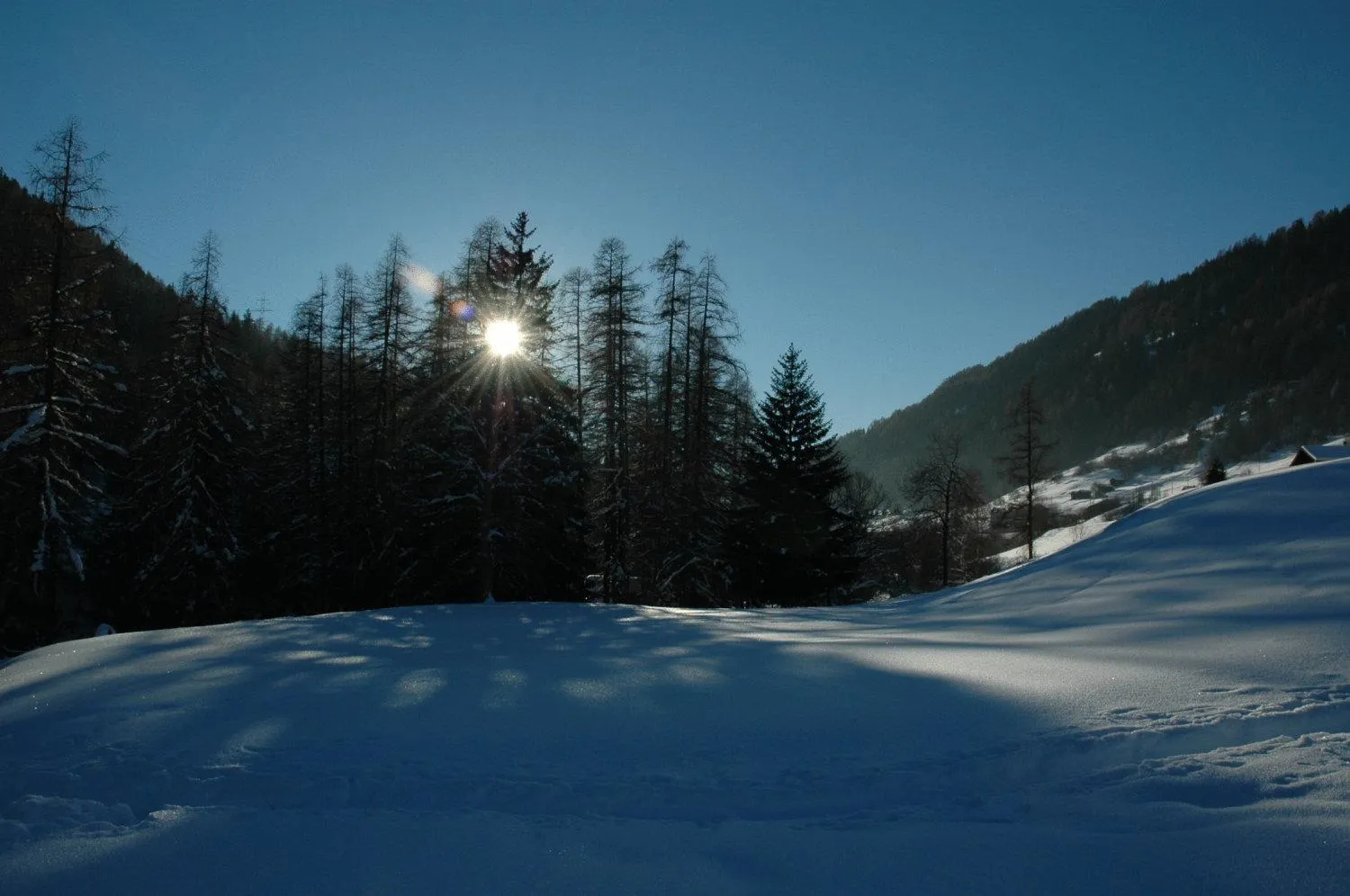Natural landscape in Hotel-Restaurant Drei Tannen