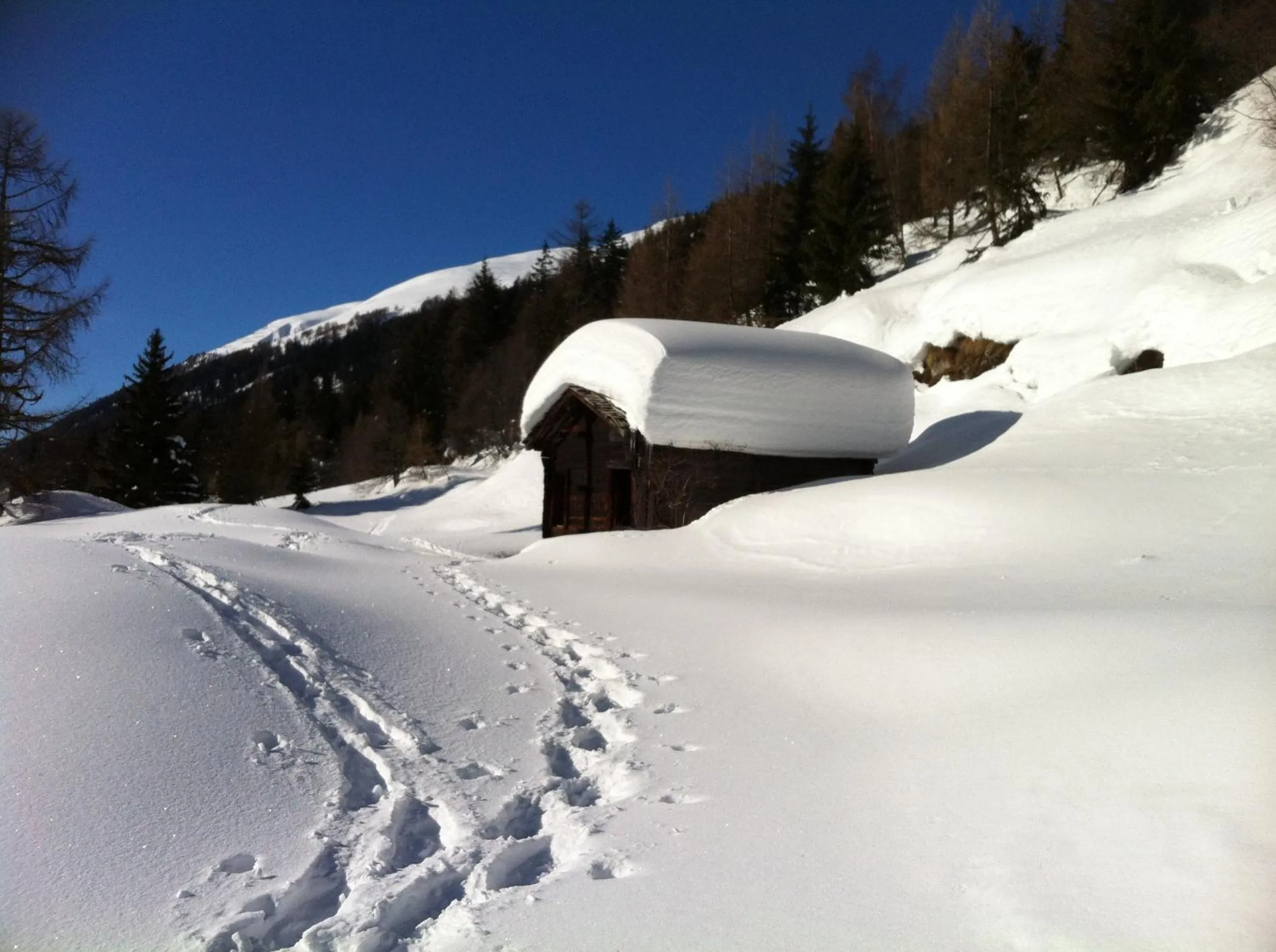 Hiking in Hotel-Restaurant Drei Tannen