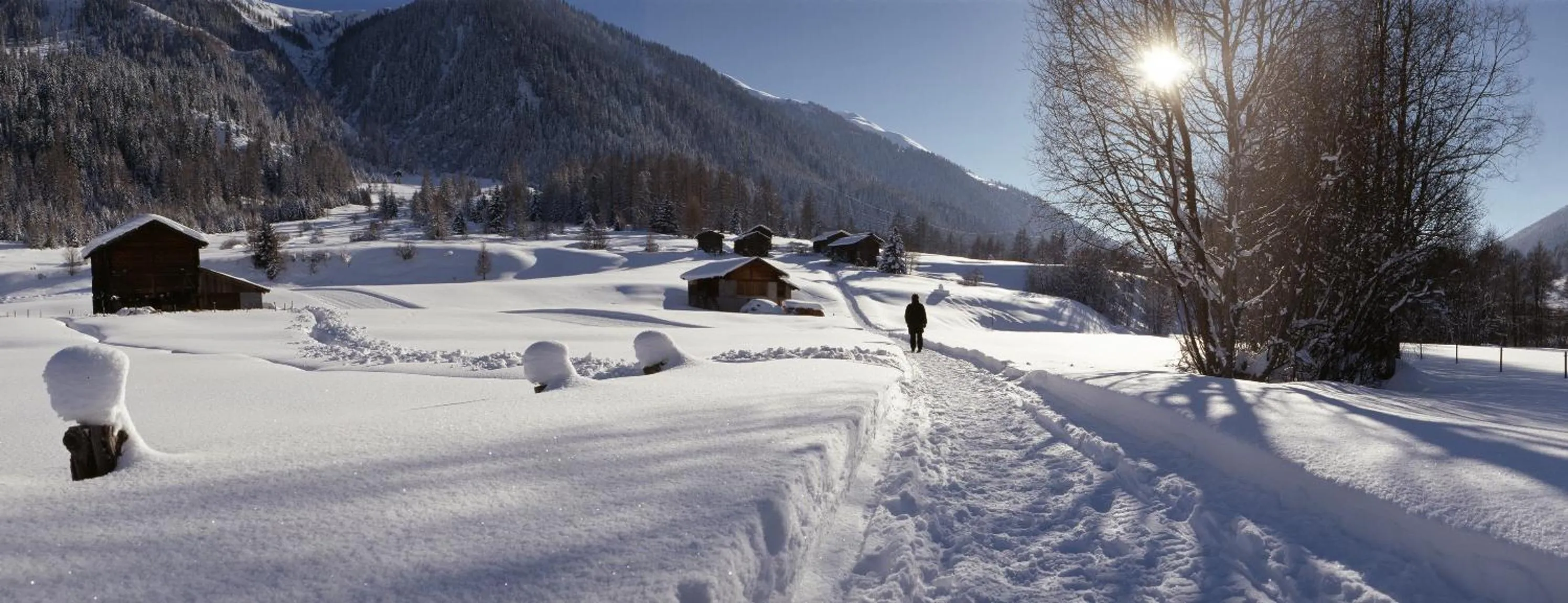 Hiking in Hotel-Restaurant Drei Tannen