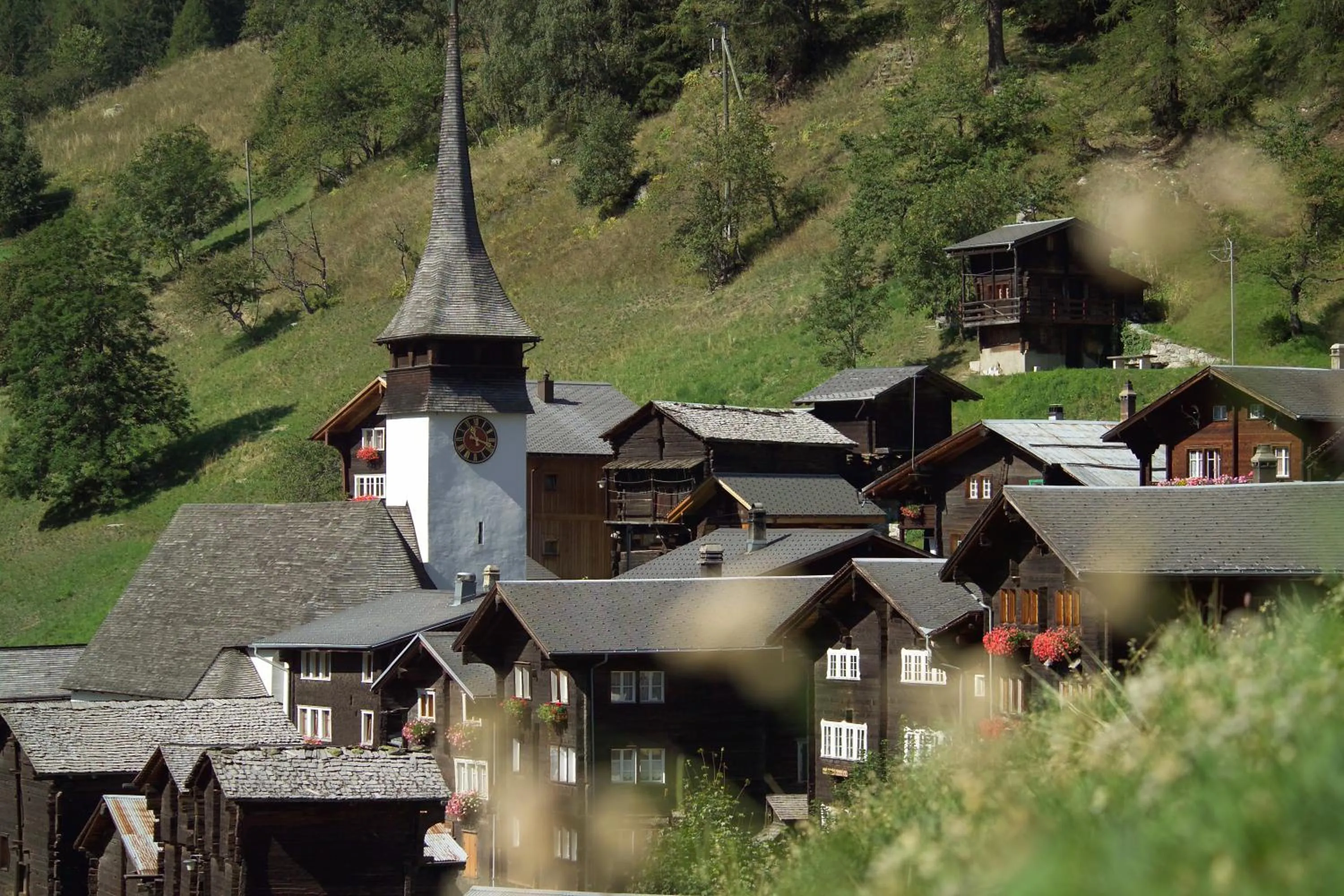 Natural landscape in Hotel-Restaurant Drei Tannen