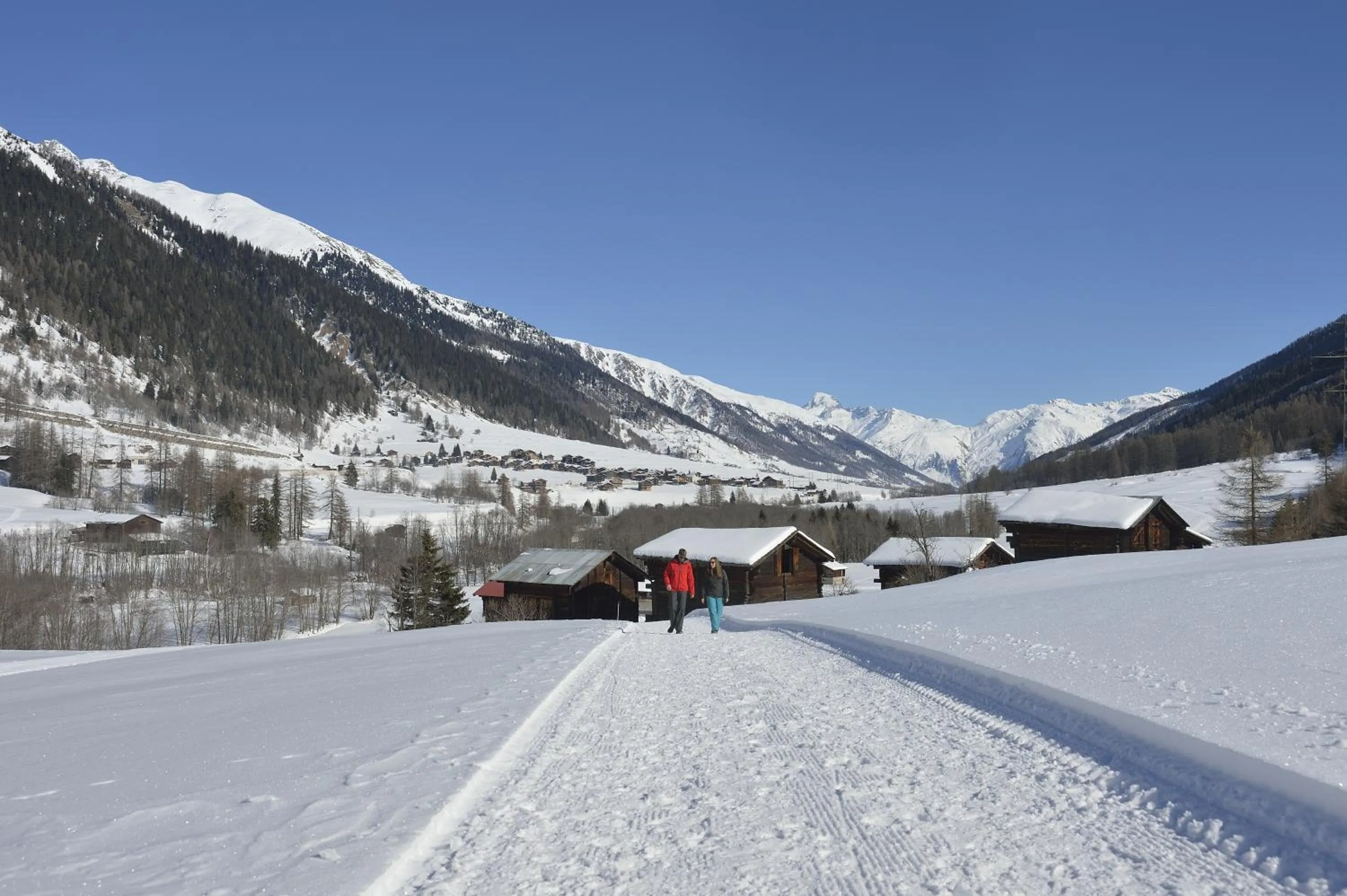 Hiking in Hotel-Restaurant Drei Tannen