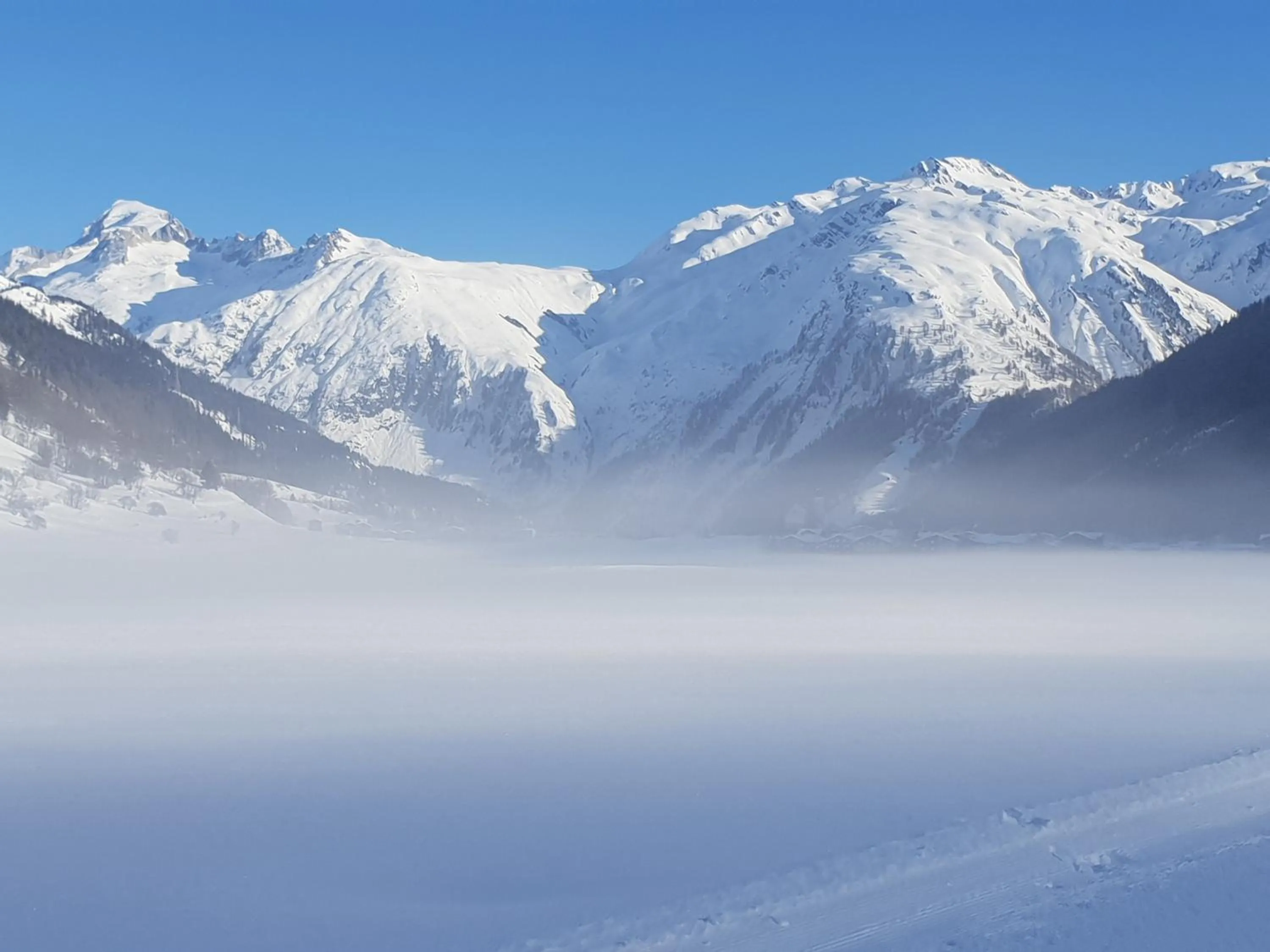 Natural landscape in Hotel Astoria