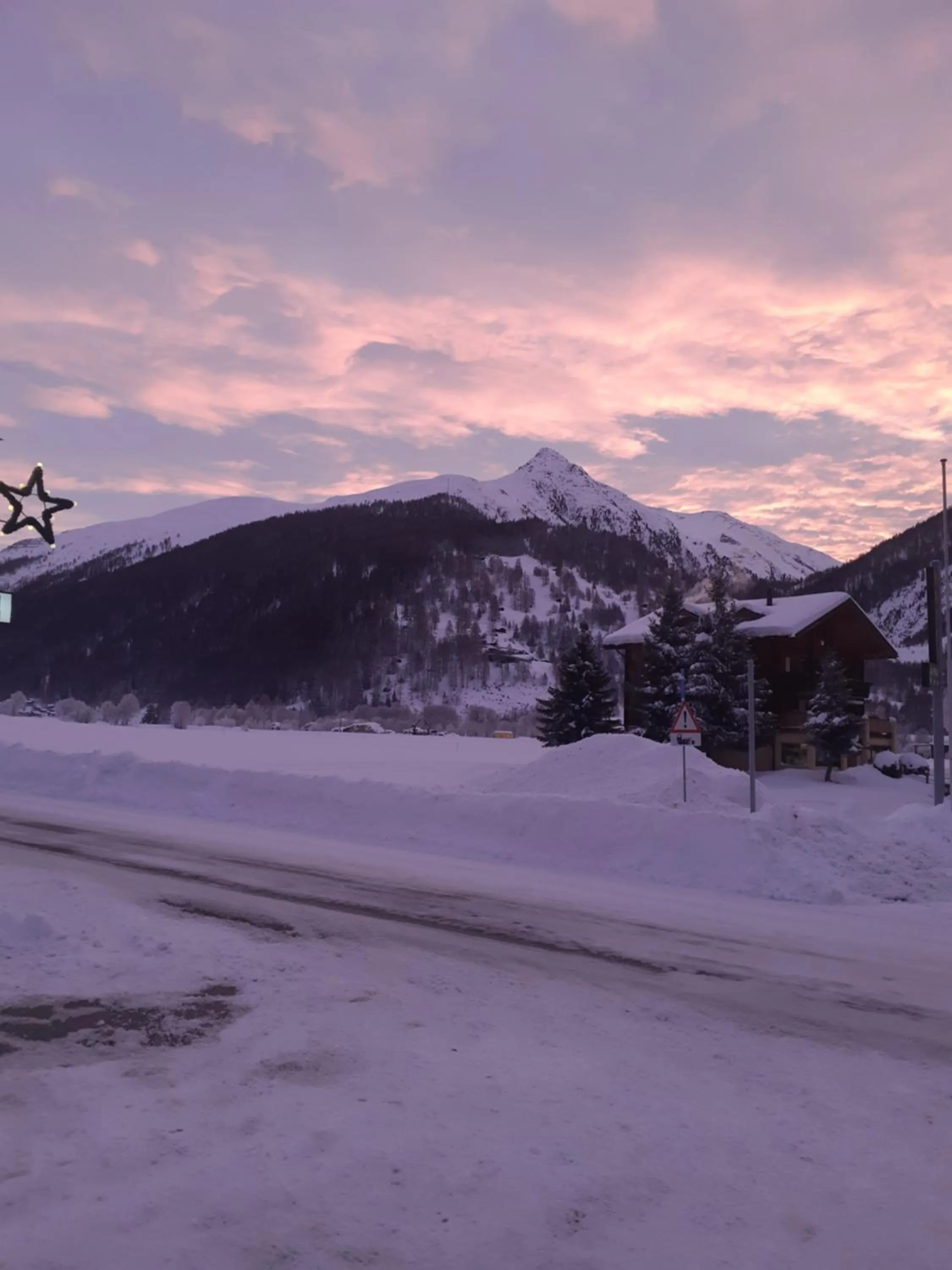 Natural landscape in Hotel Astoria