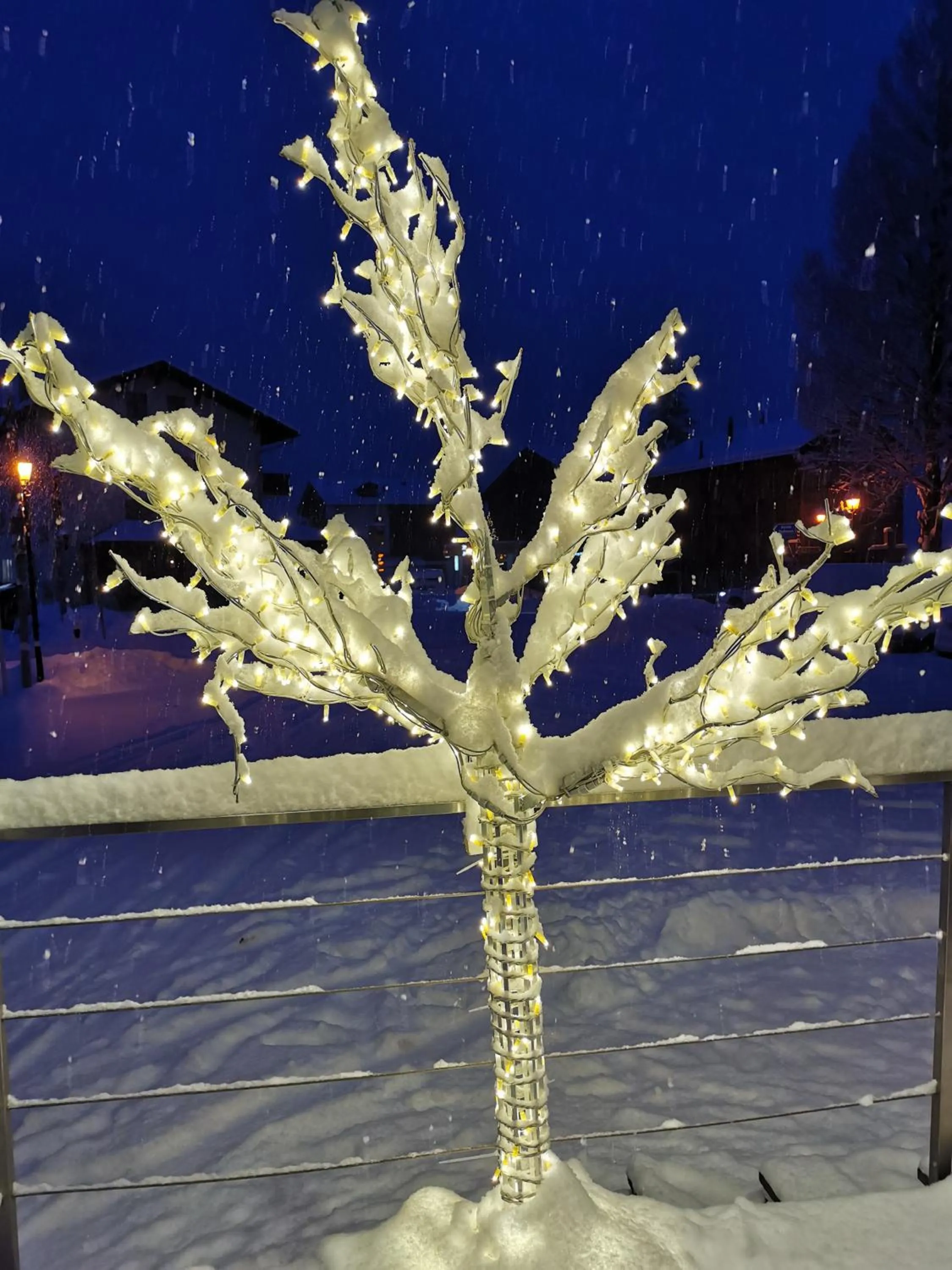 Winter in Hotel Astoria