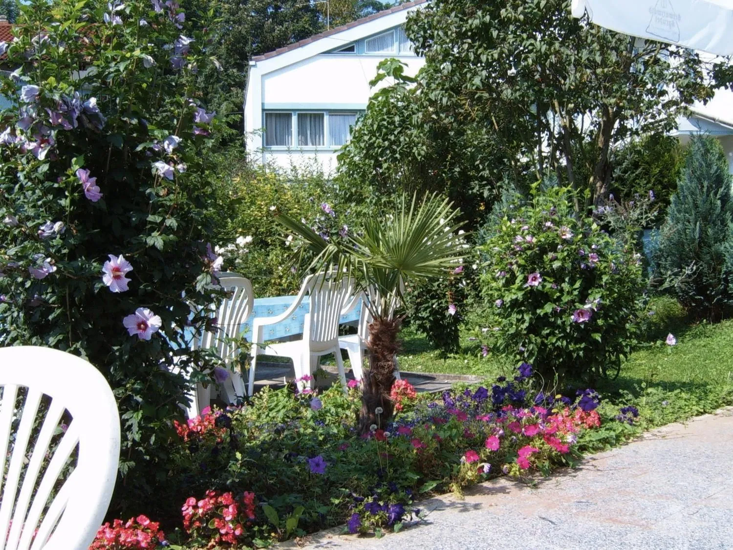 Balcony/Terrace in Hotel Park Eden