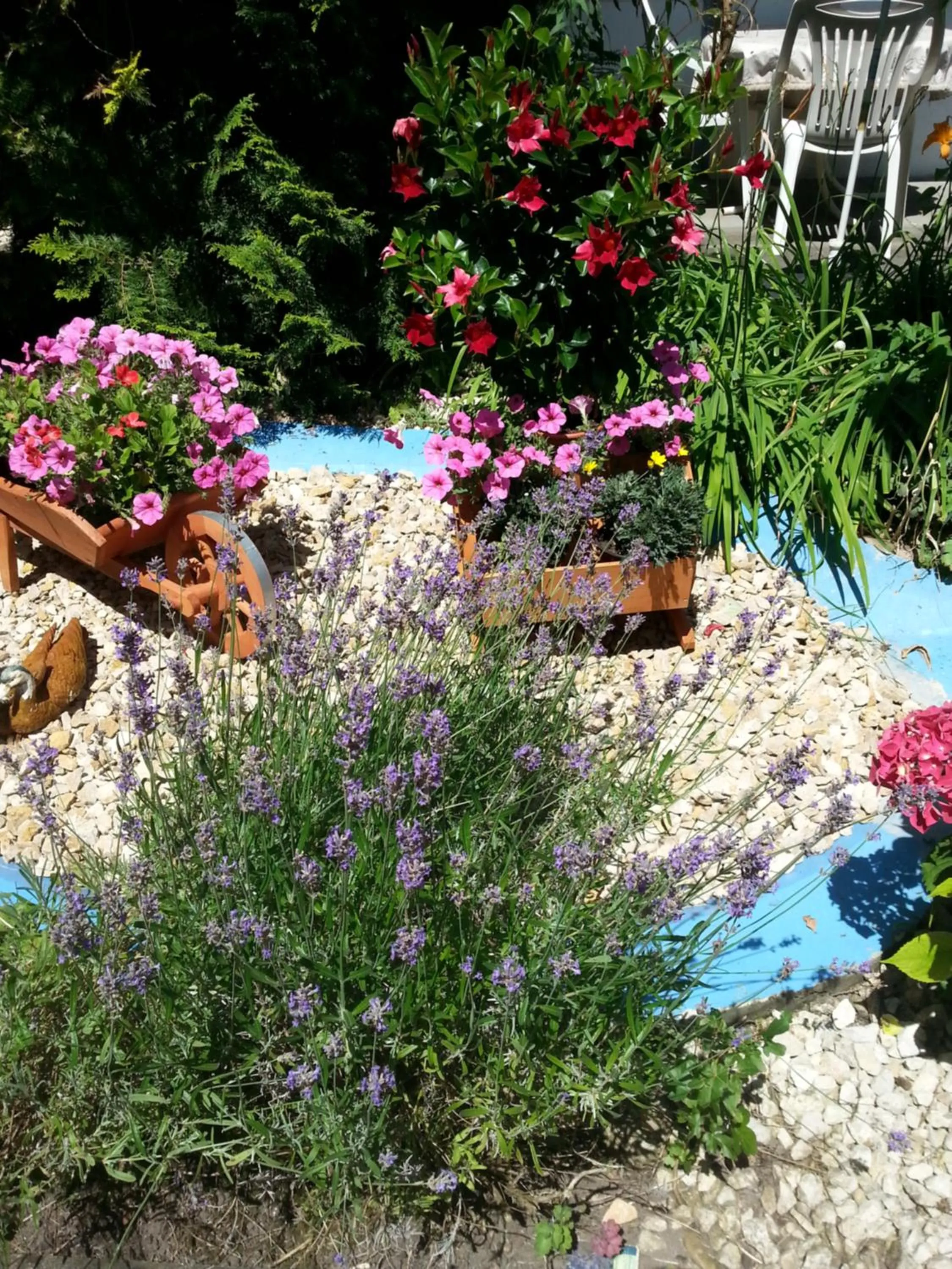 Garden in Hotel Park Eden