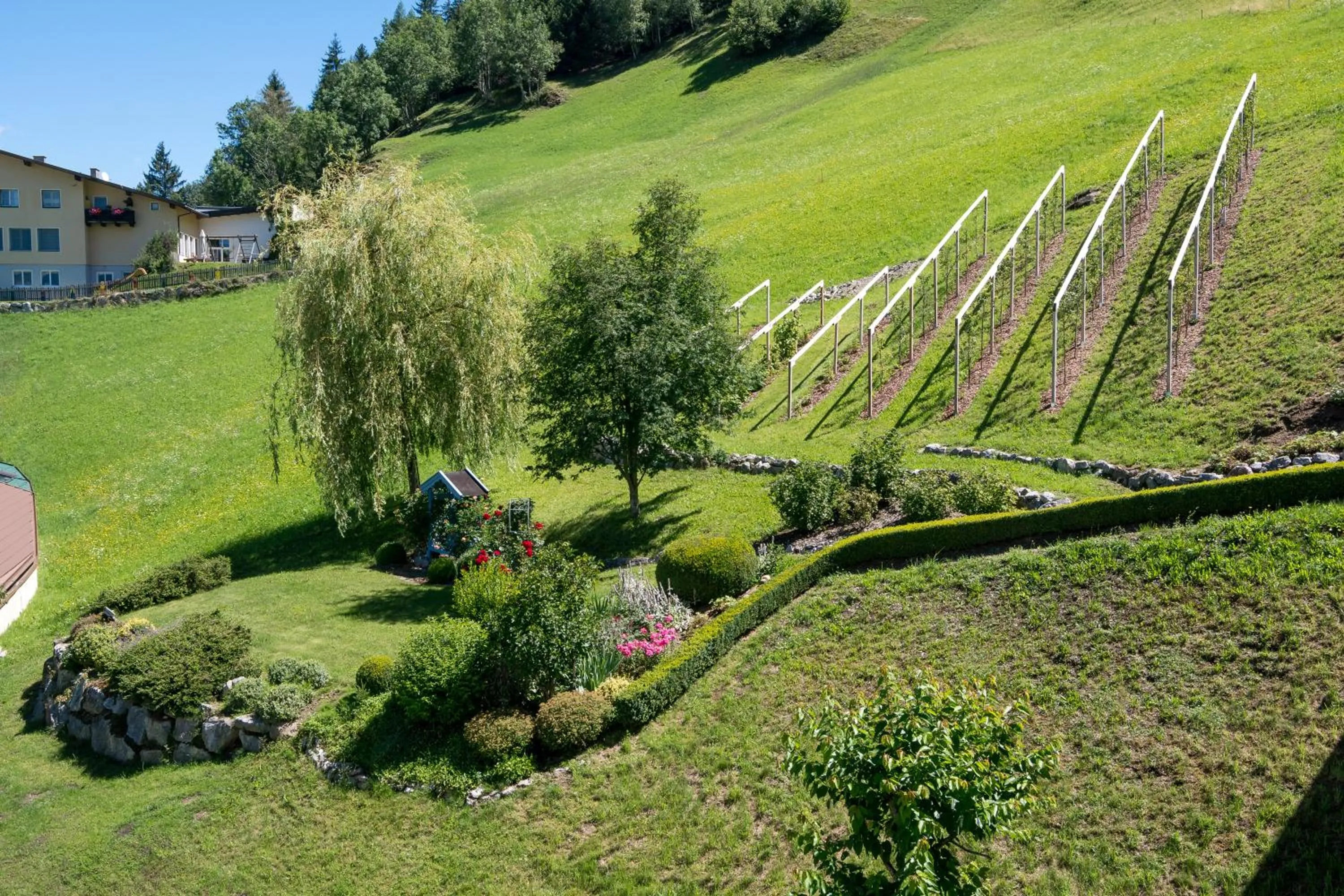 Garden in Das Schlössl