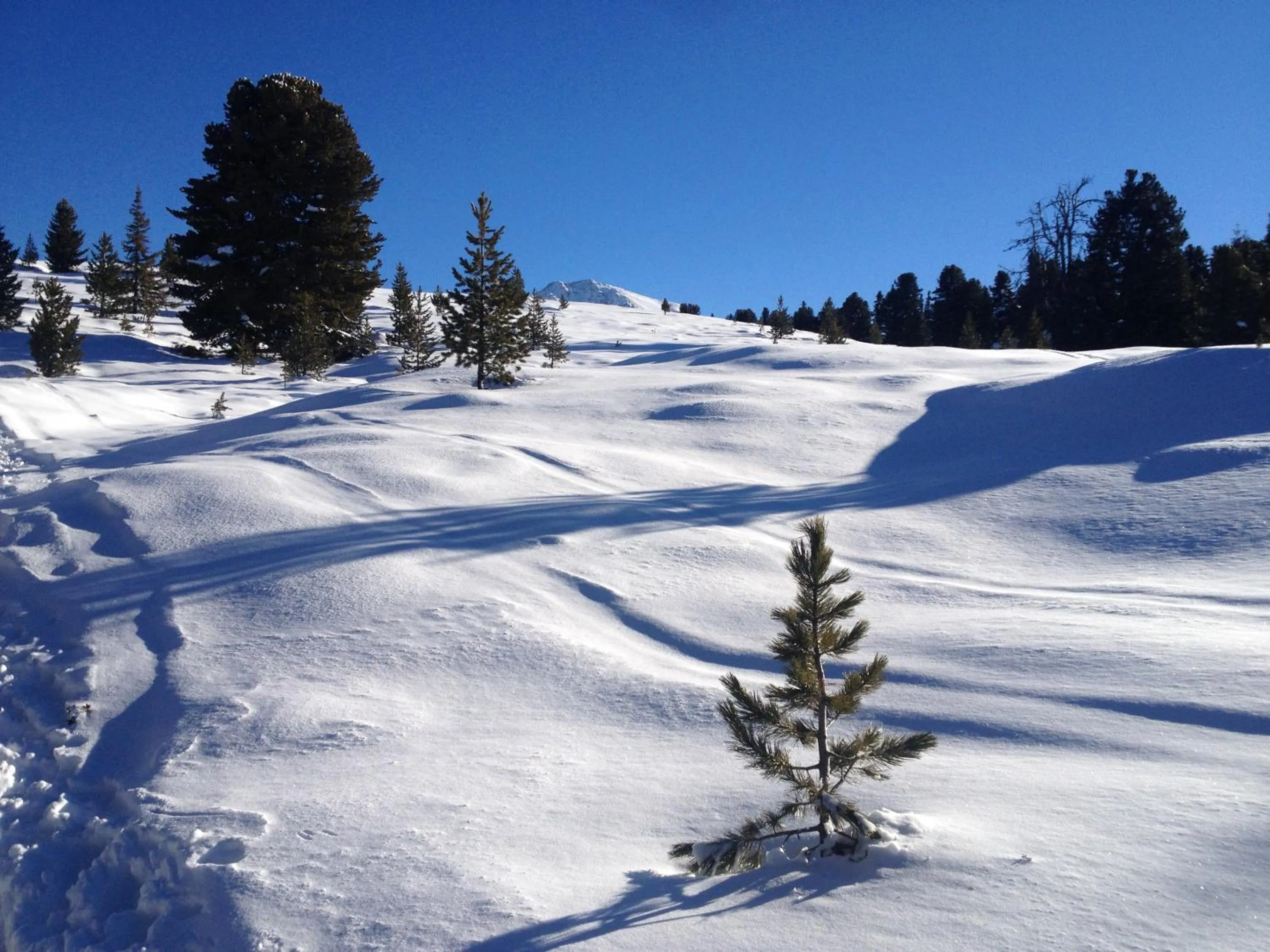 Area and facilities in Das Schlössl