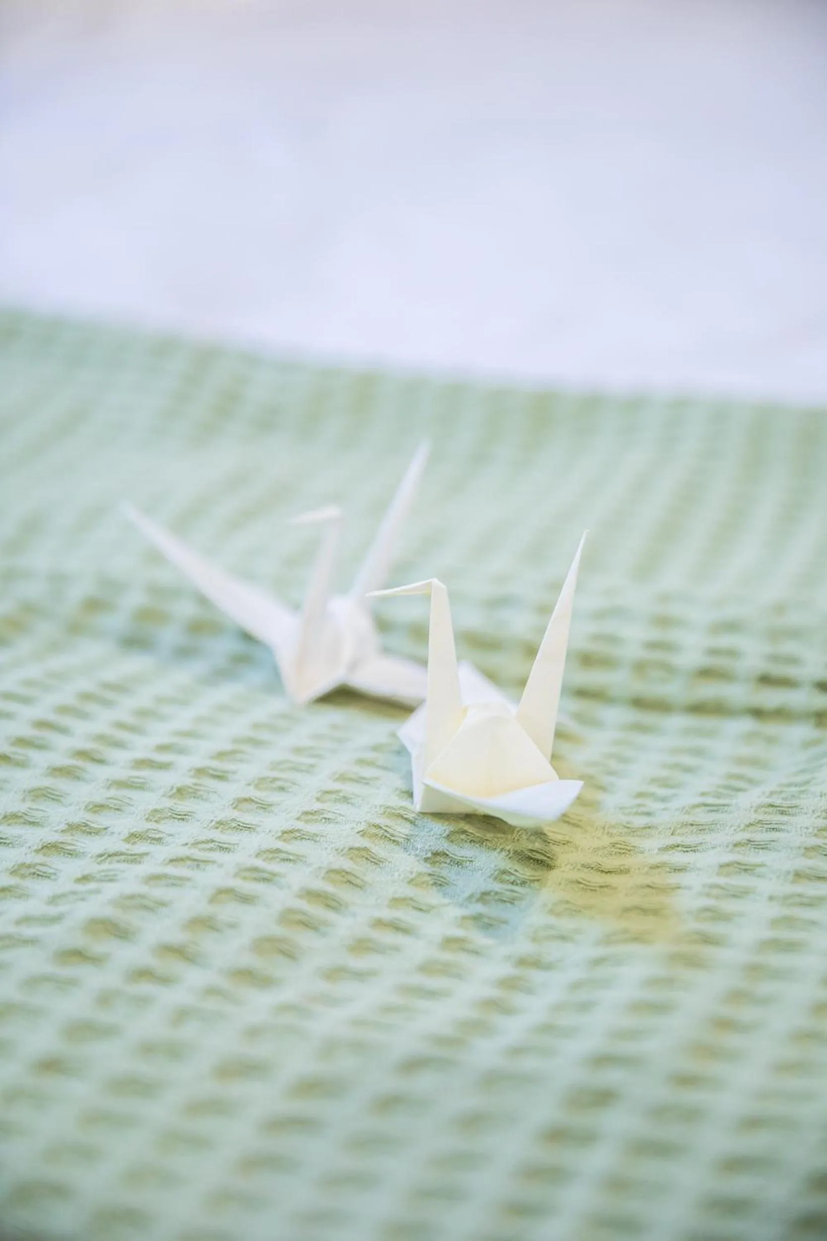 KIZUNA HOTEL Gojo Kiyomizu-dera Kamogawa