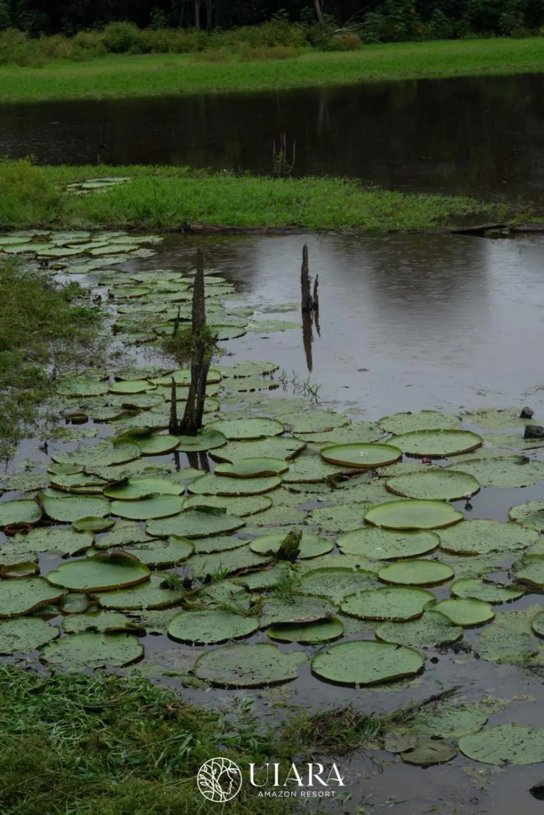 Uiara Amazon Resort
