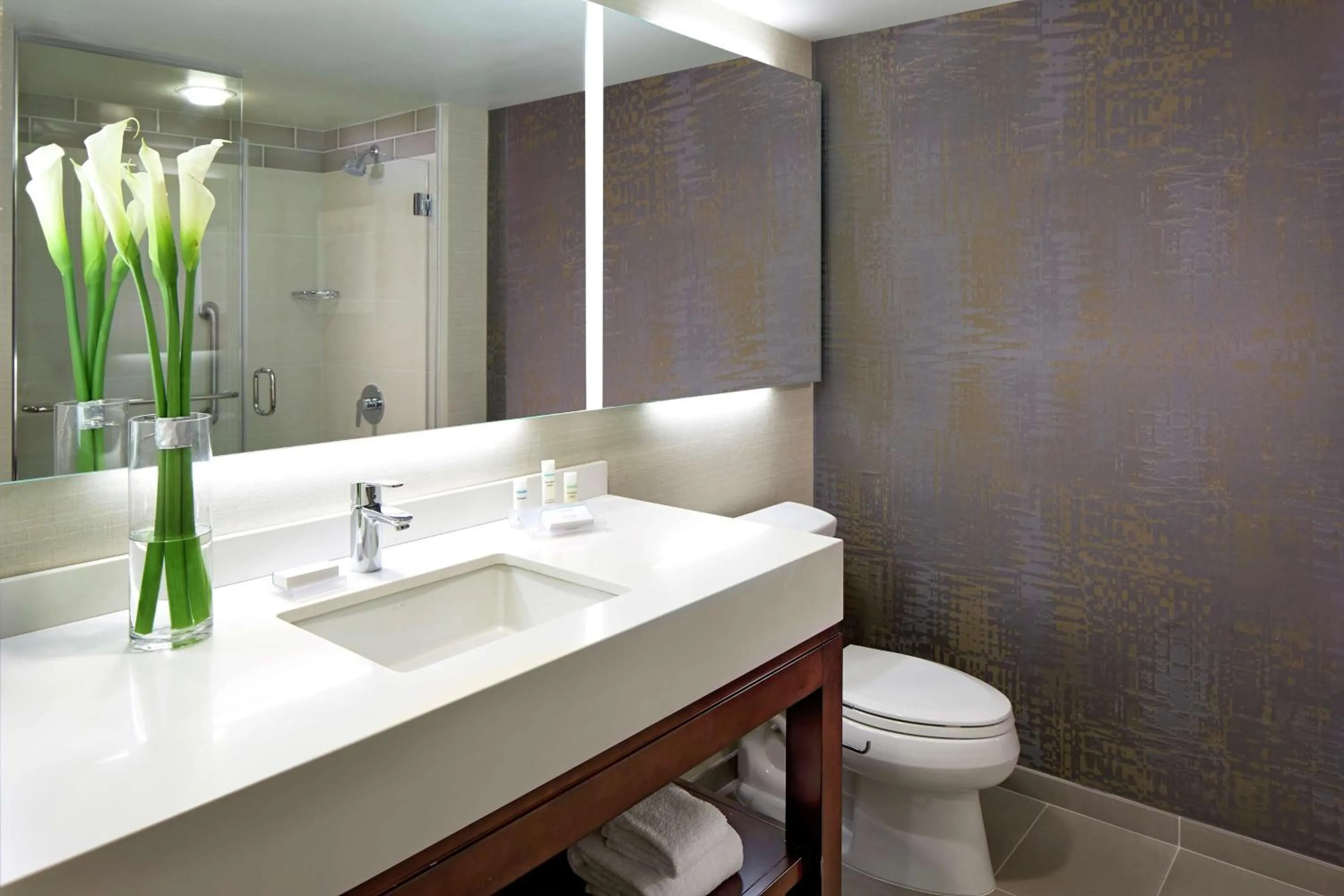 Bathroom in Hilton Garden Inn San Diego Old Town/Sea World Area