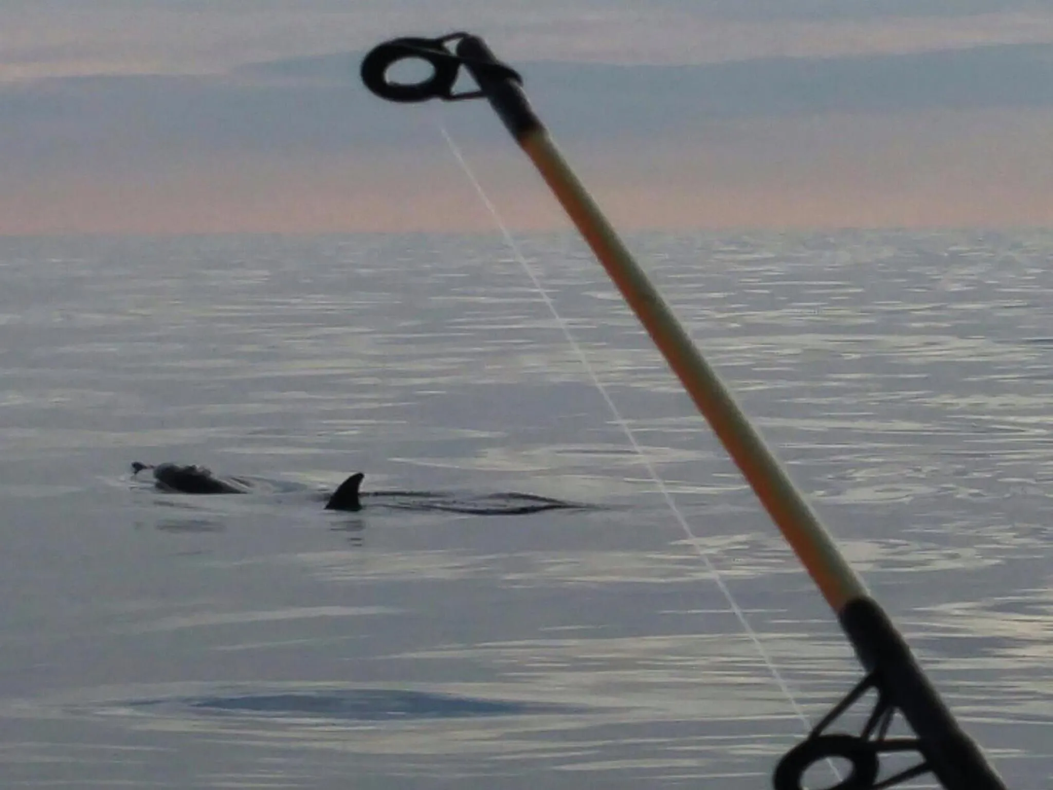 Fishing in Tempio degli Dei