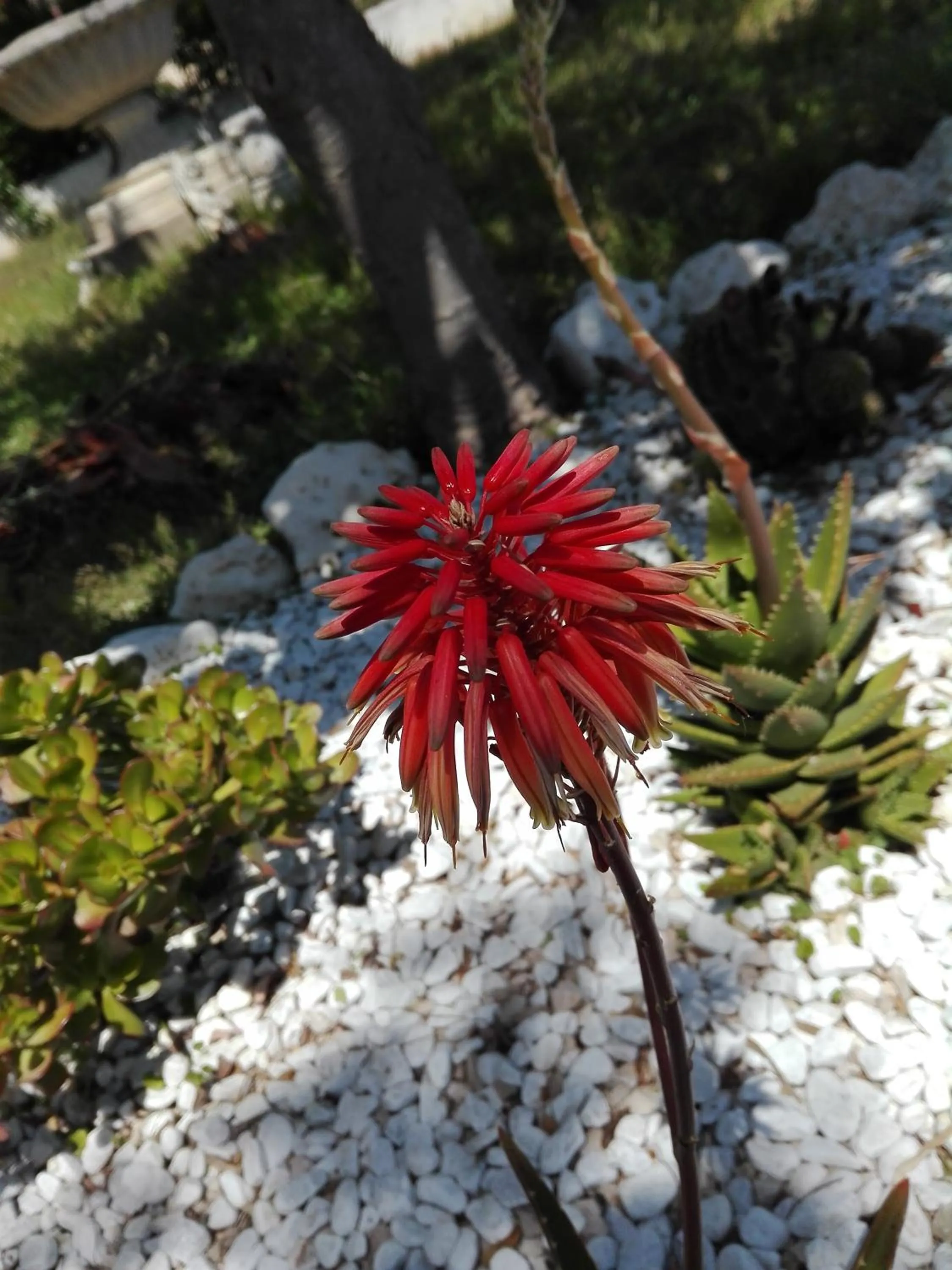 On site in I Sogni di Morfeo