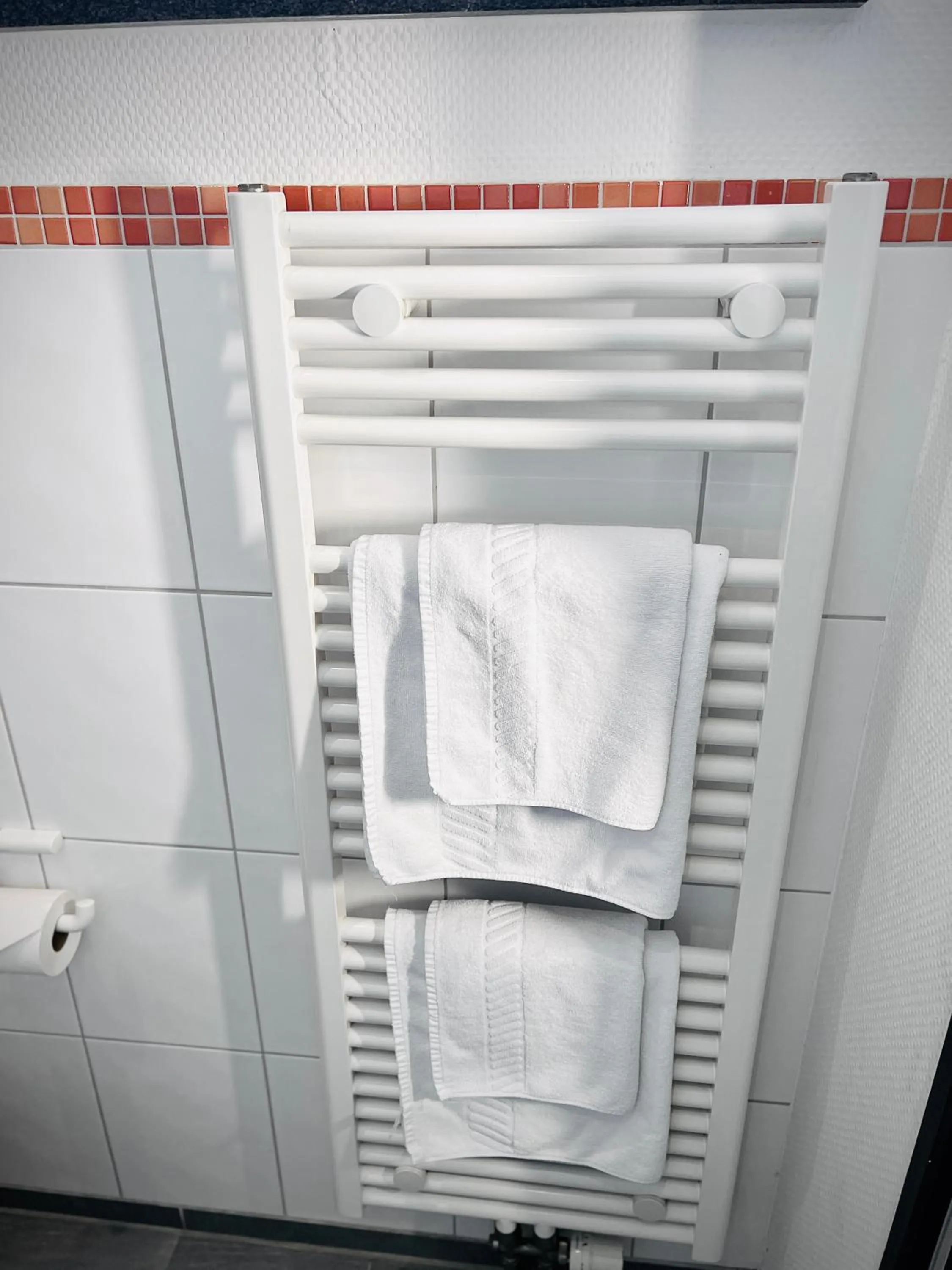 Bathroom in Jugendherberge City-Hostel Köln-Riehl