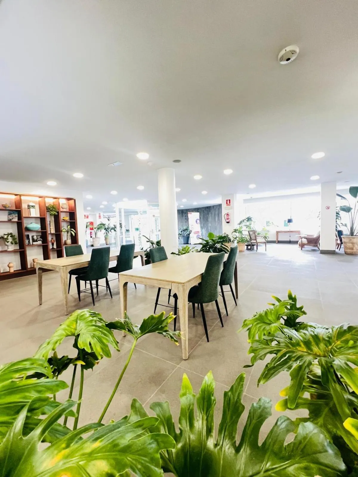 Property building in Hyde Park Lane