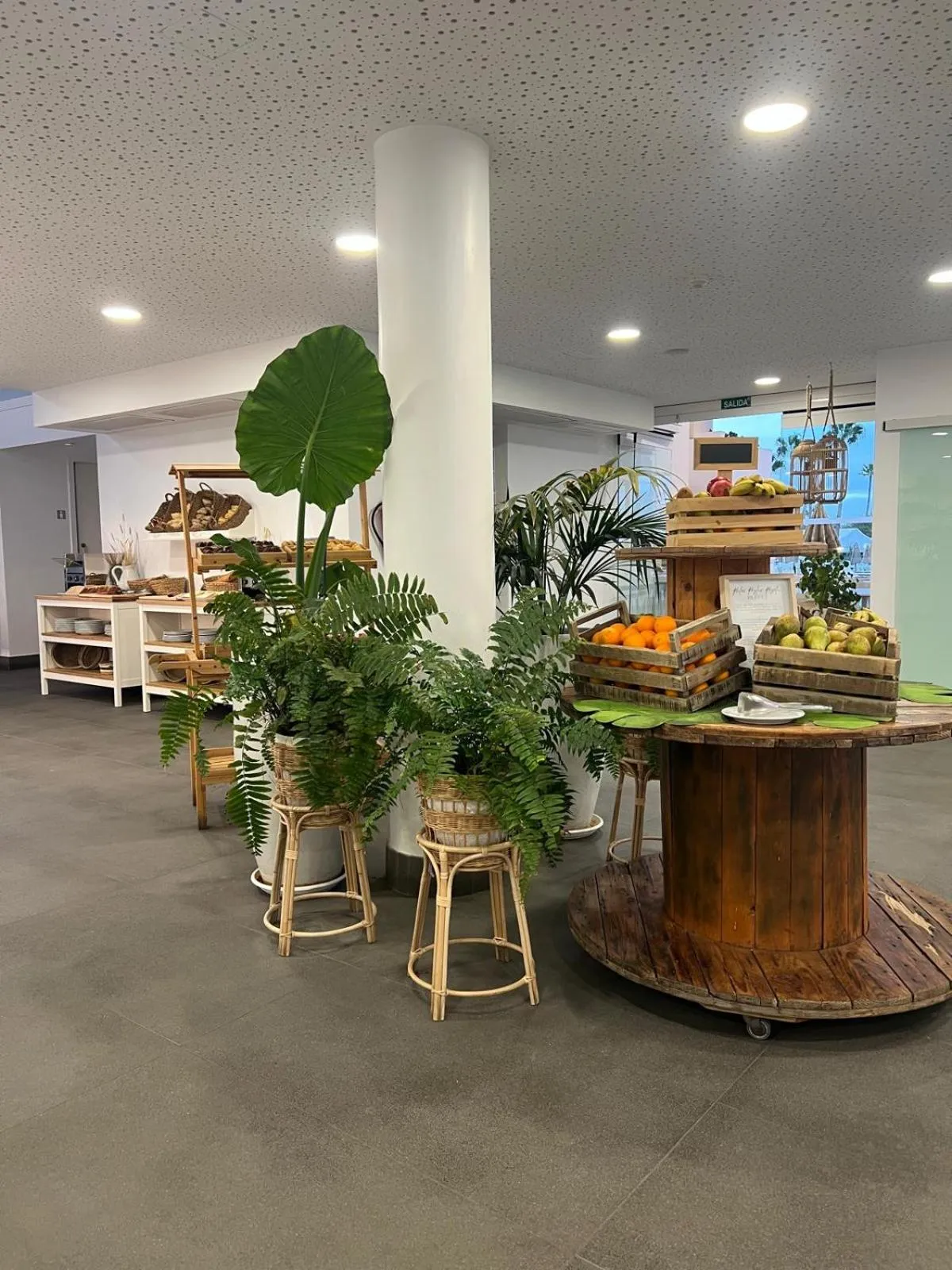 Restaurant/places to eat in Hyde Park Lane