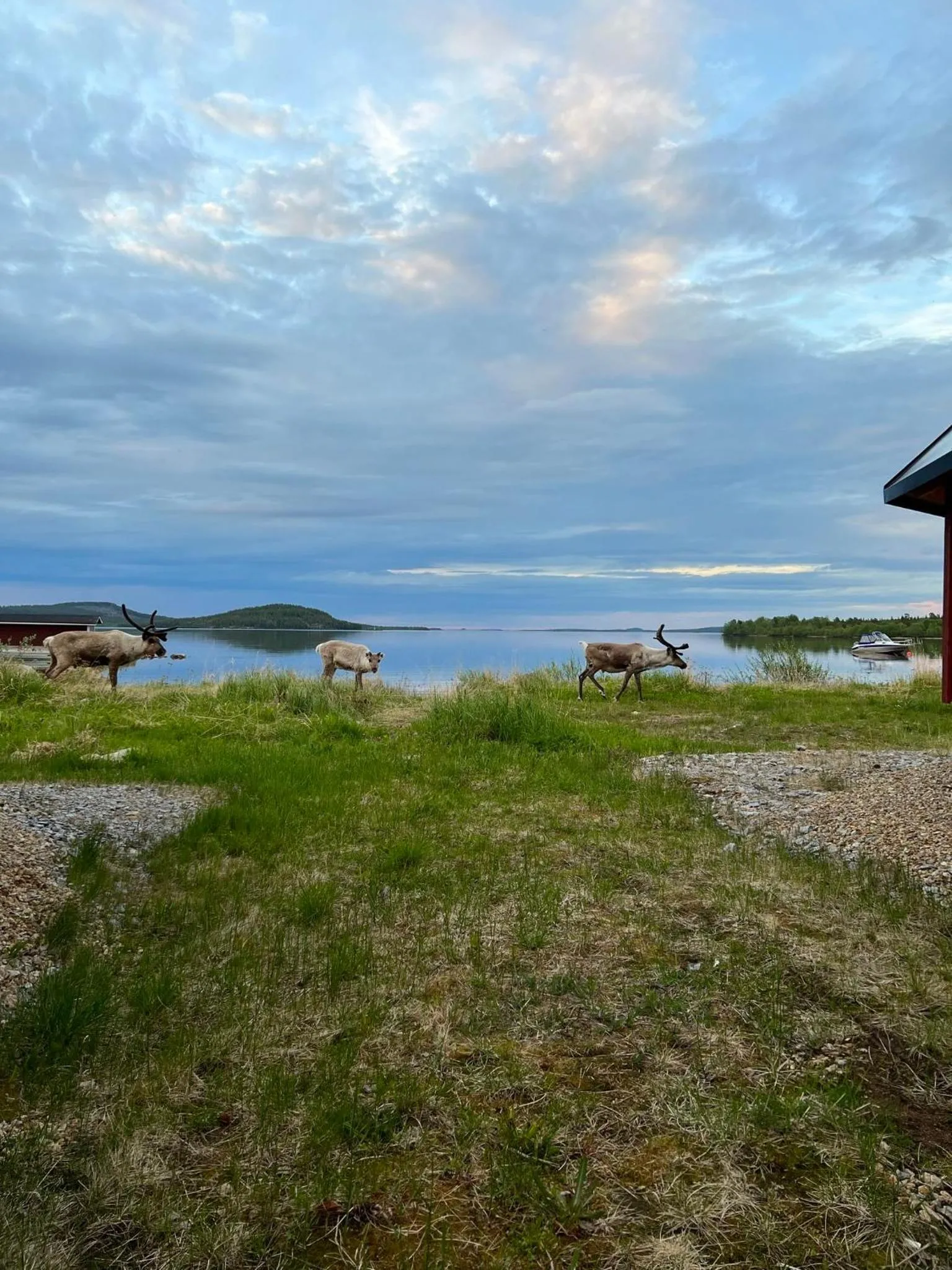 Natural landscape in Holiday Village Inari