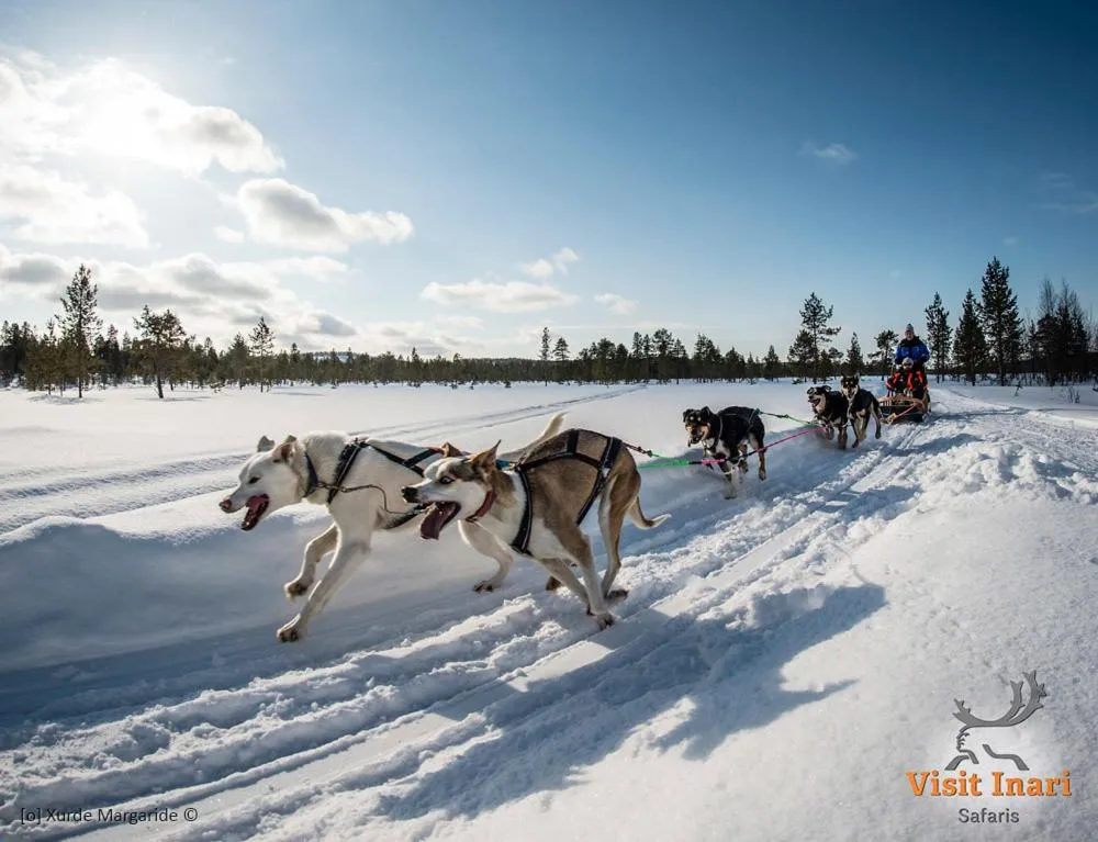 Activities in Holiday Village Inari