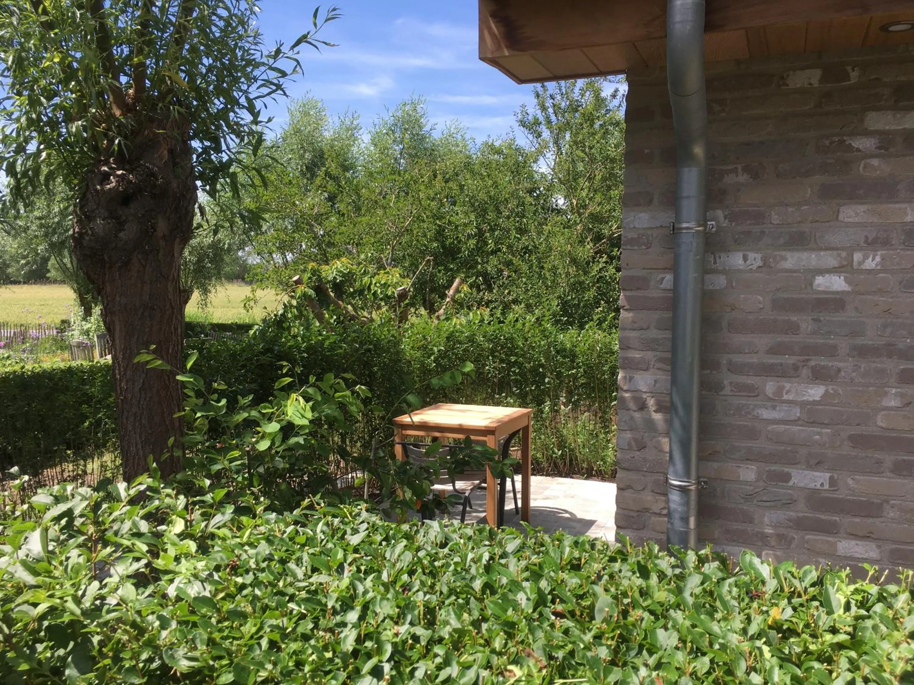 Garden in B&B Knotwilgenhoeve