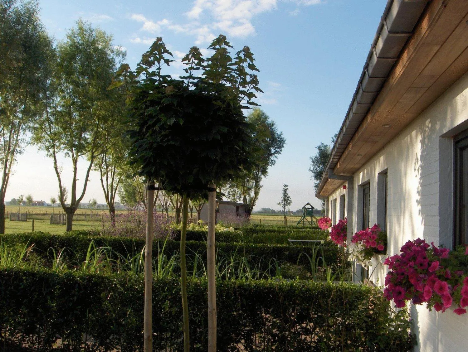 Garden in B&B Knotwilgenhoeve