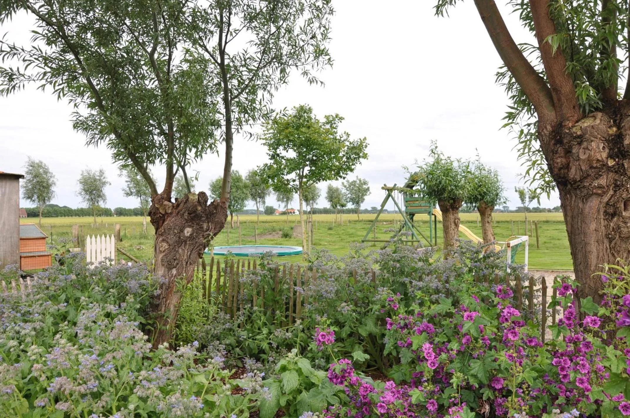 Garden in B&B Knotwilgenhoeve