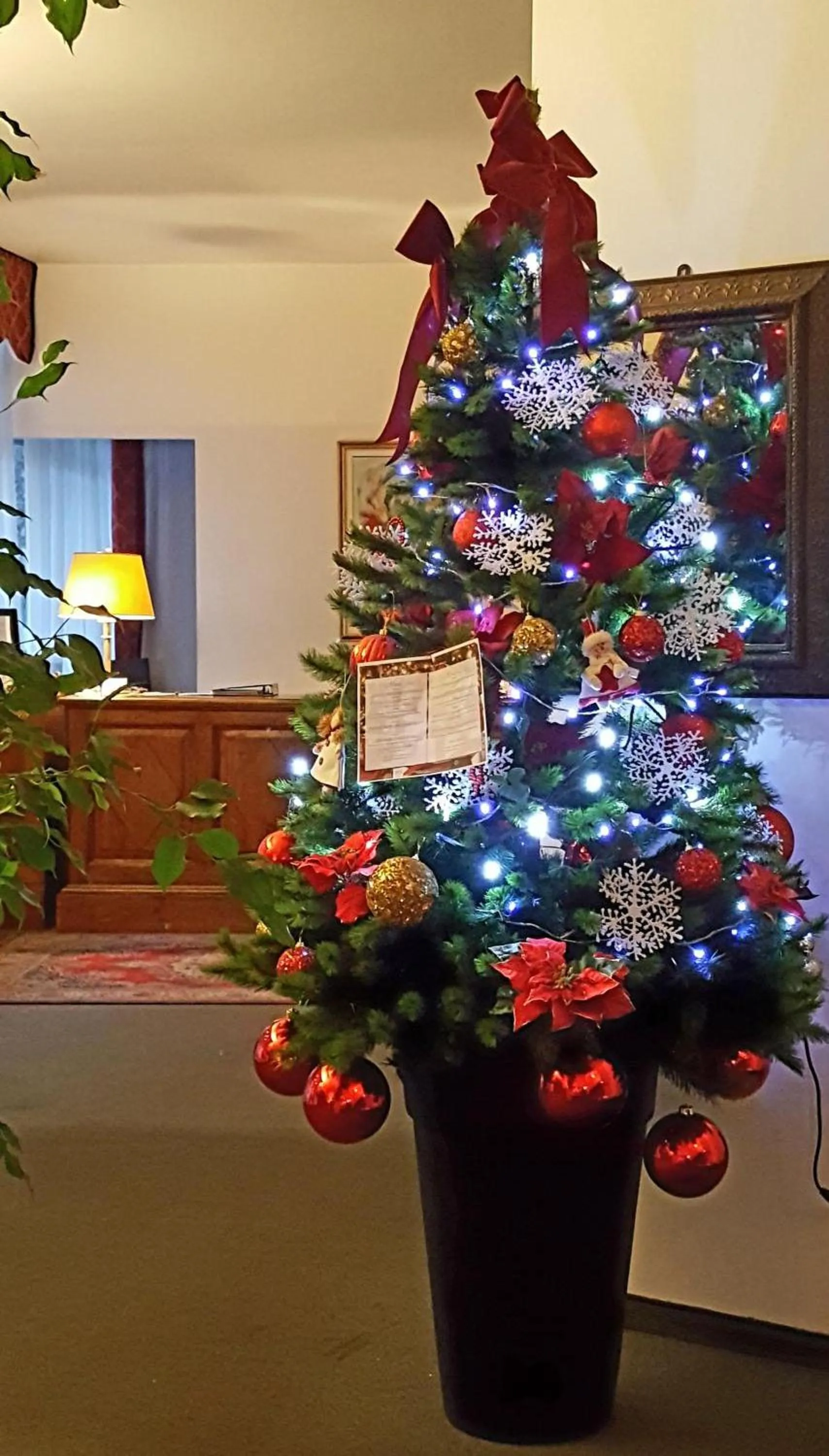 Winter in Hotel Augustus