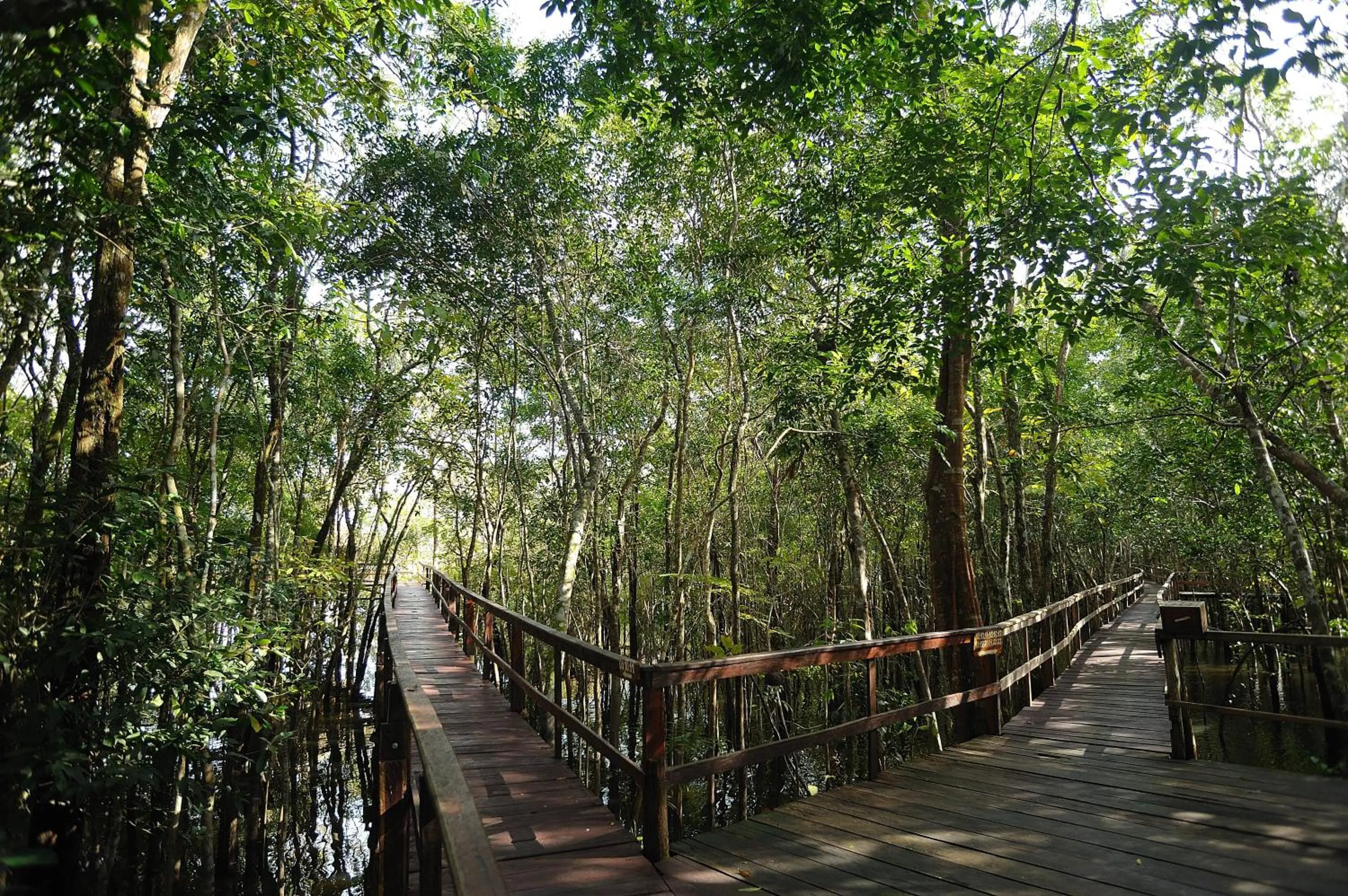 Natural landscape in Juma Amazon Lodge
