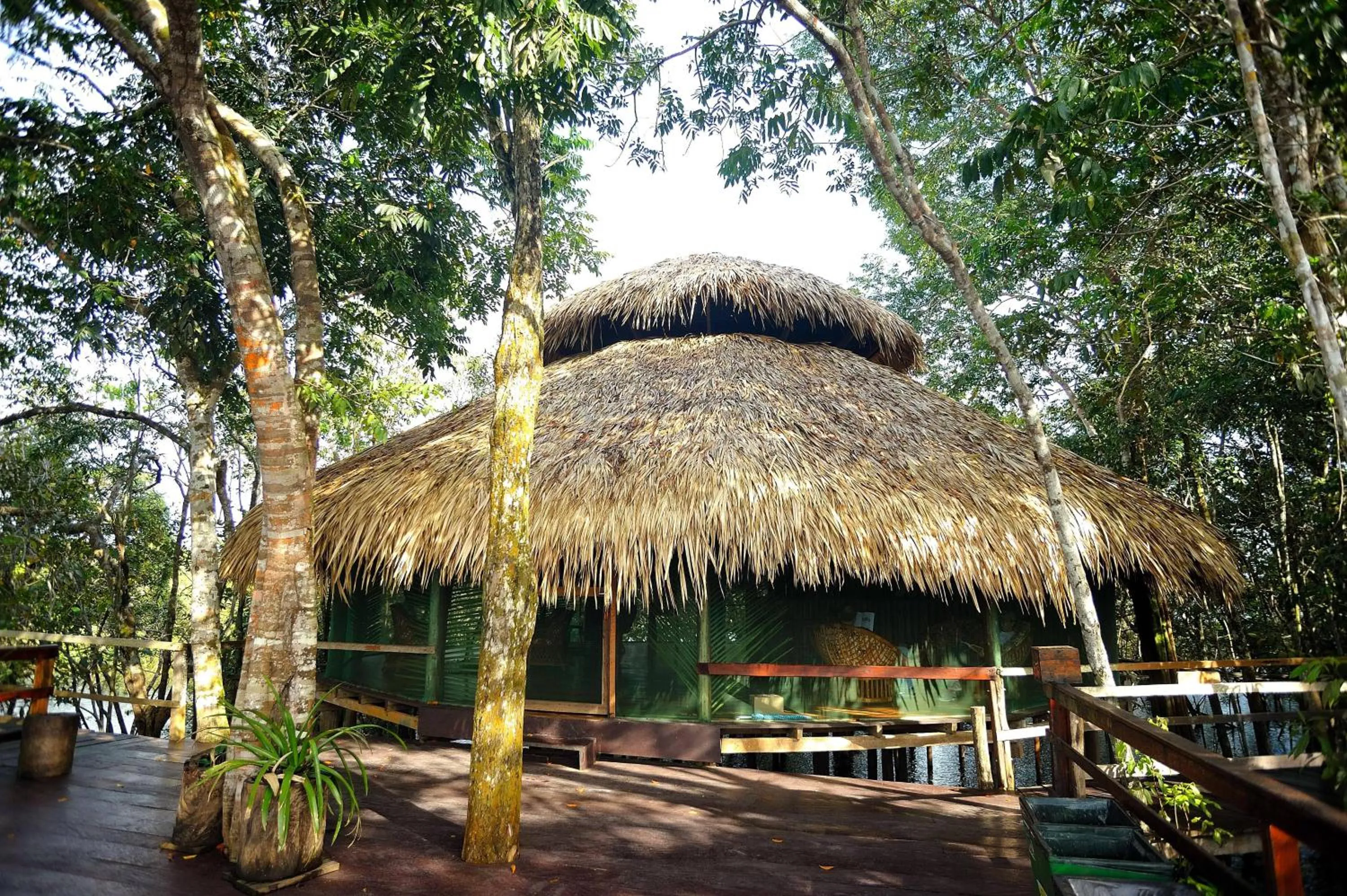 Lobby or reception in Juma Amazon Lodge