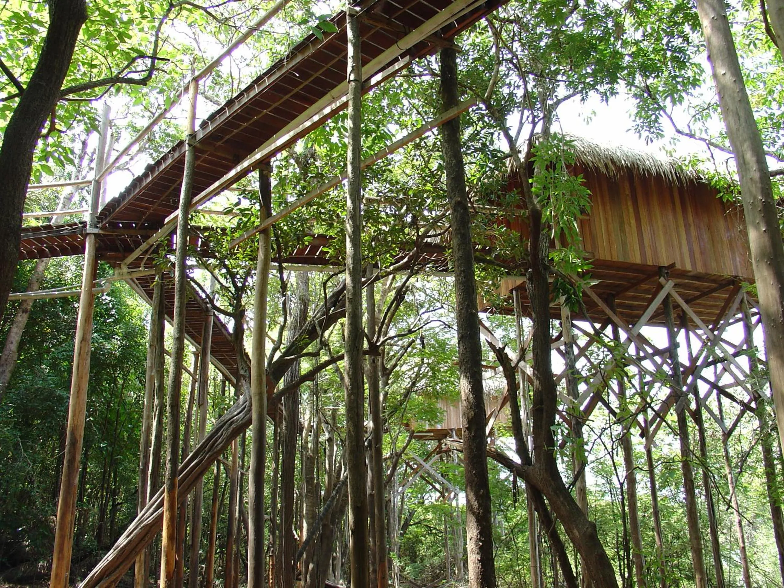 Photo of the whole room in Juma Amazon Lodge