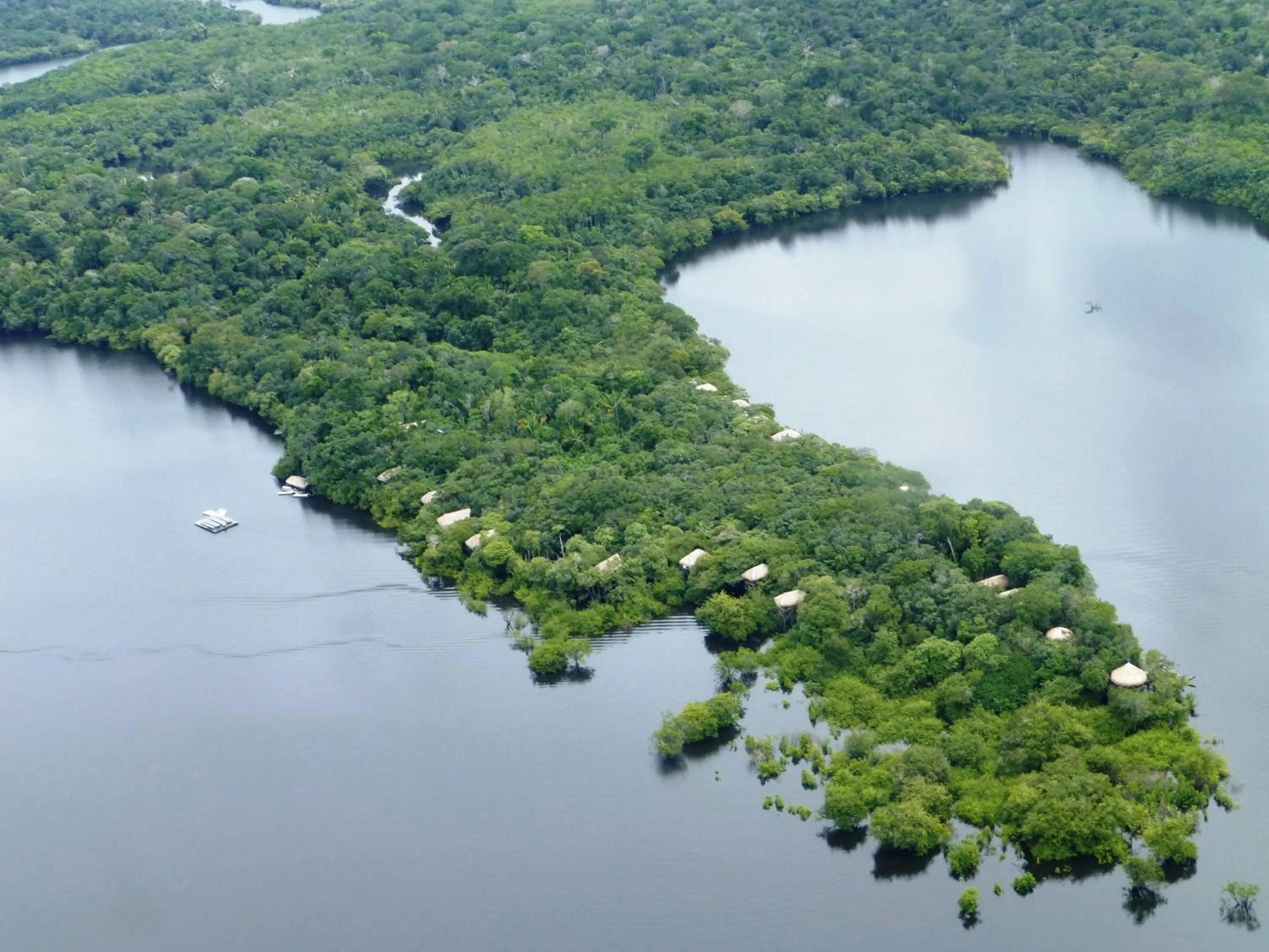 Natural landscape in Juma Amazon Lodge