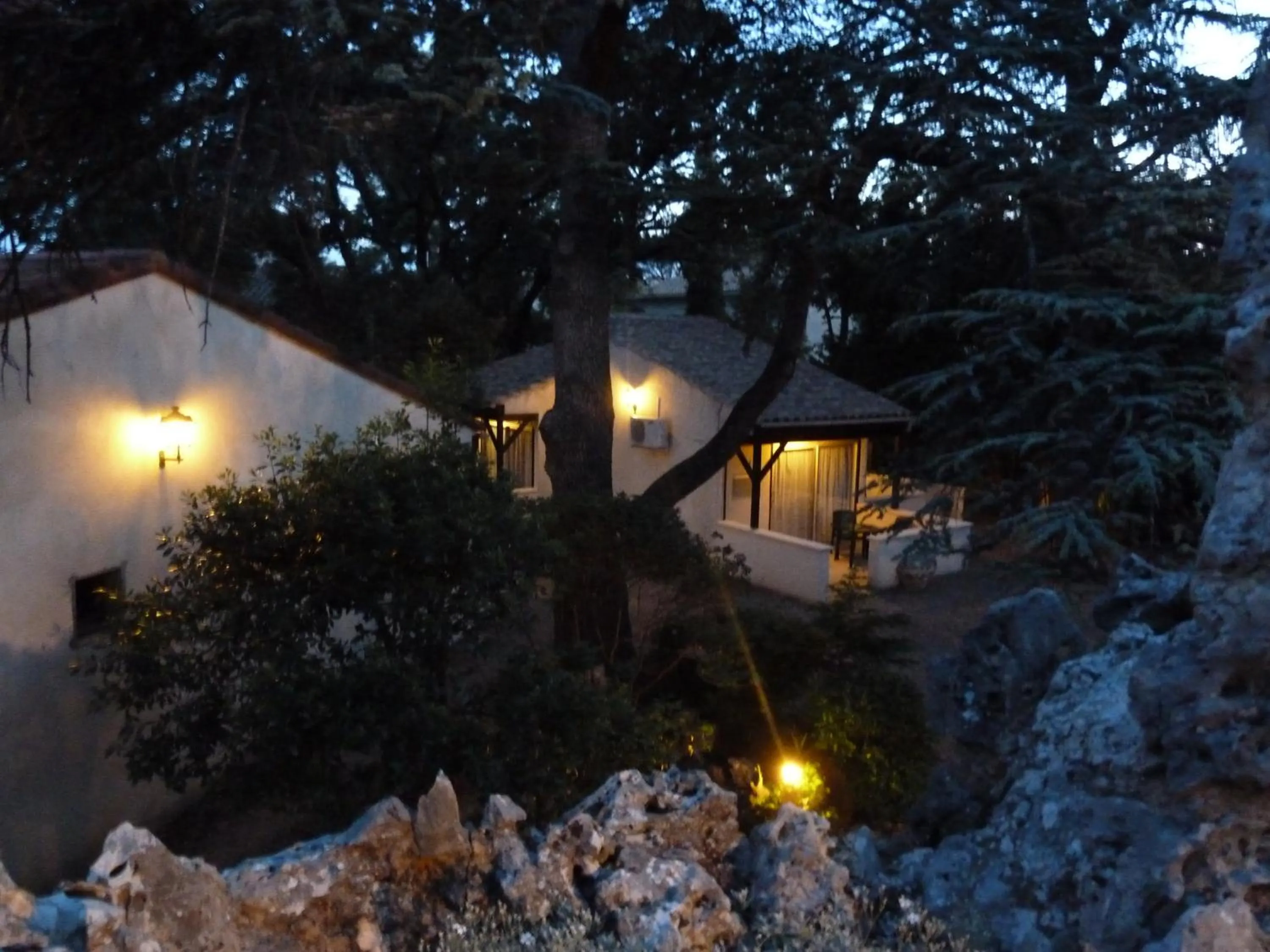 Garden in Logis Hôtel - Restaurant Résidence Les Cèdres
