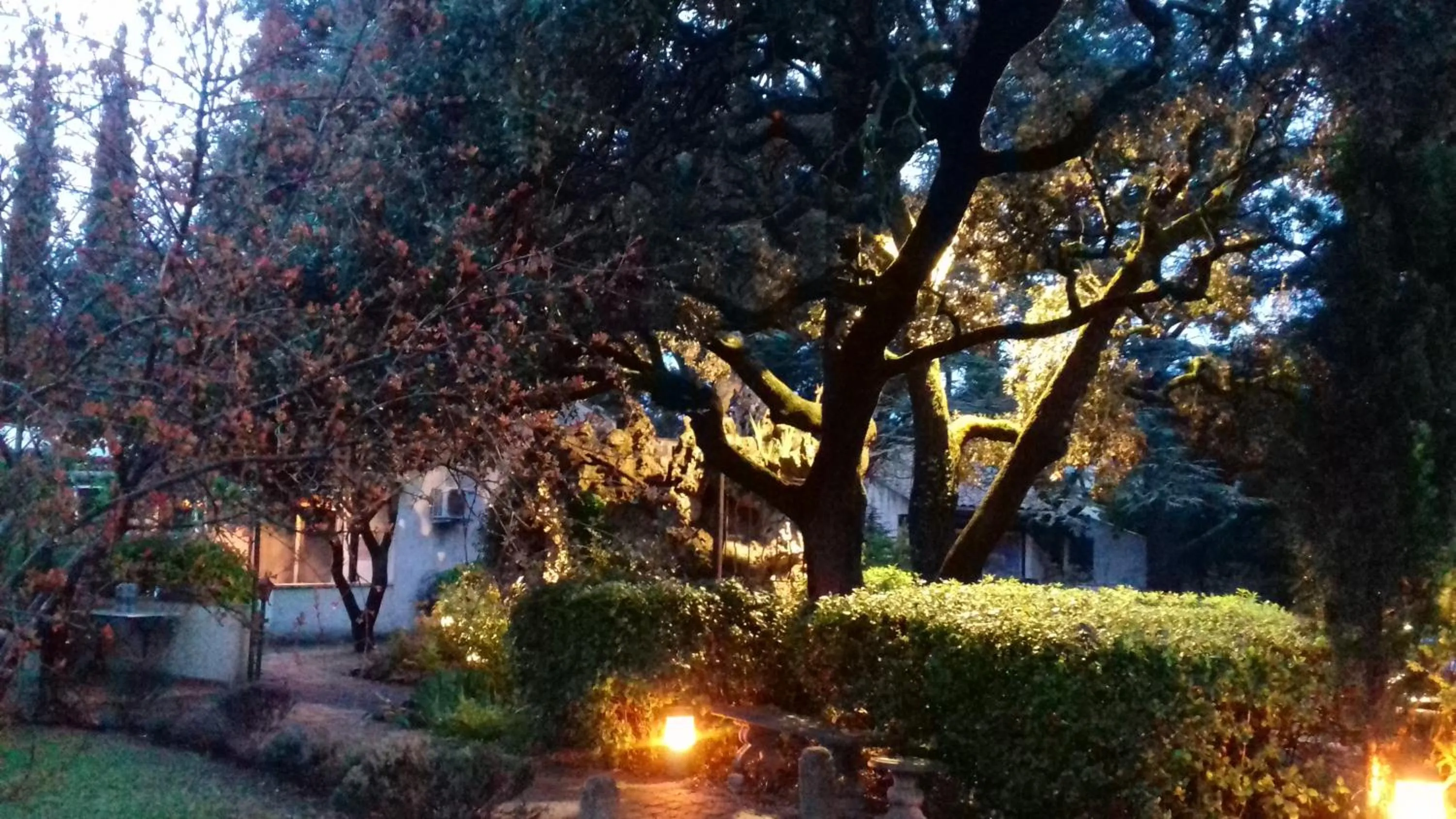 Garden in Logis Hôtel - Restaurant Résidence Les Cèdres
