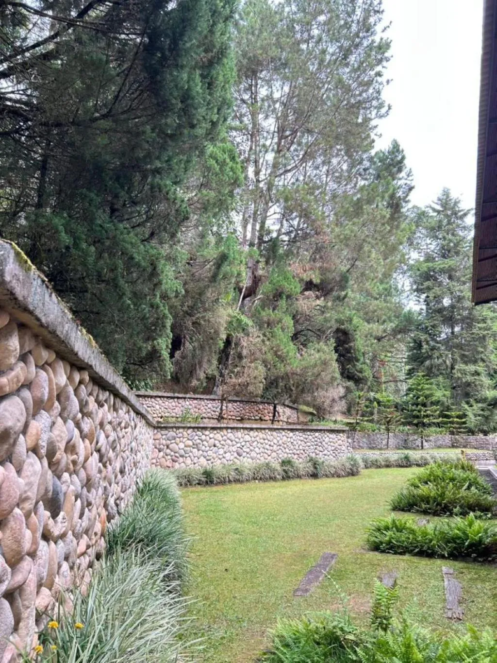 Century Pines Resort Cameron Highlands