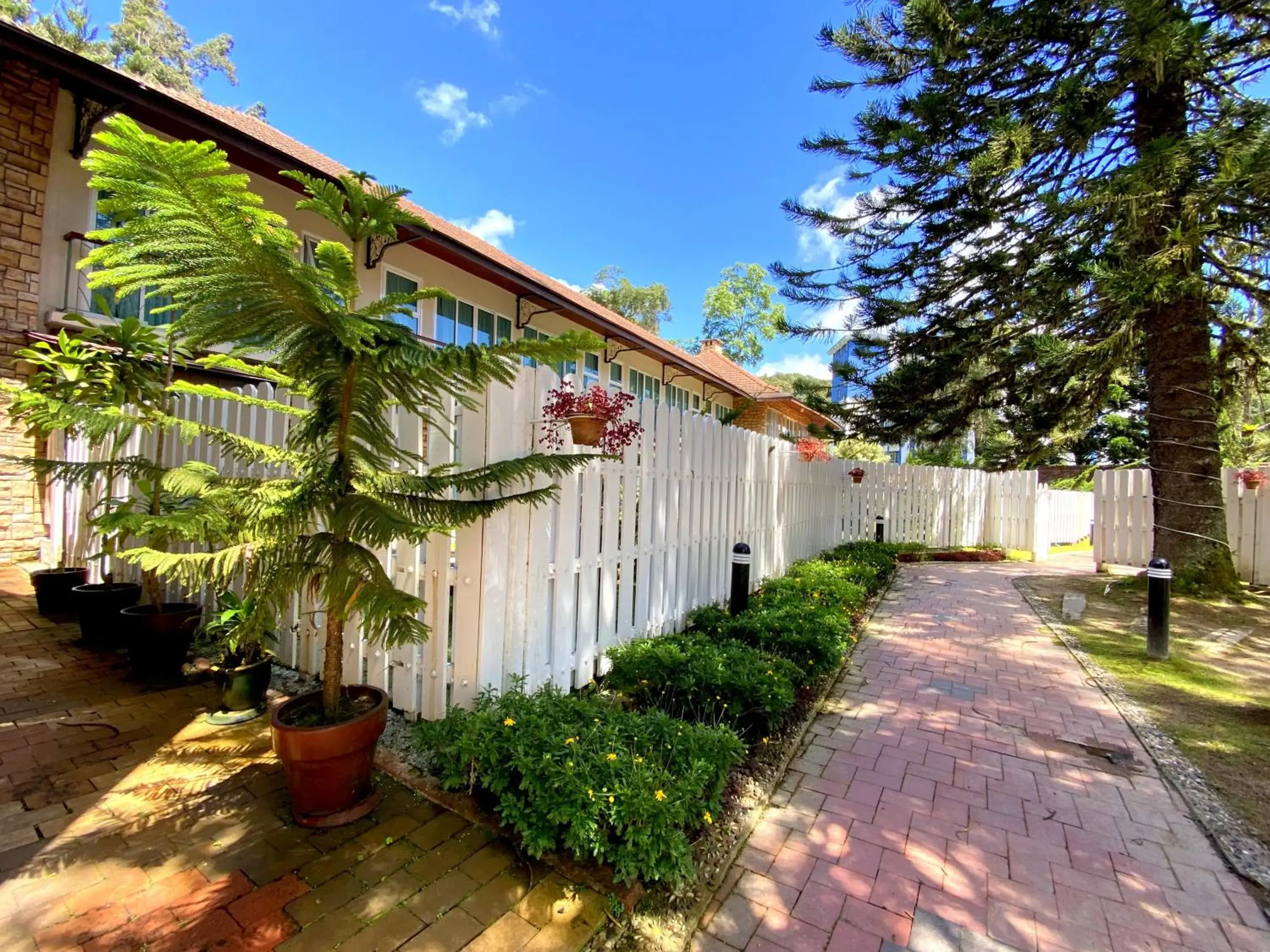 Property building in Century Pines Resort Cameron Highlands Property building in Century Pines Resort Cameron Highlands