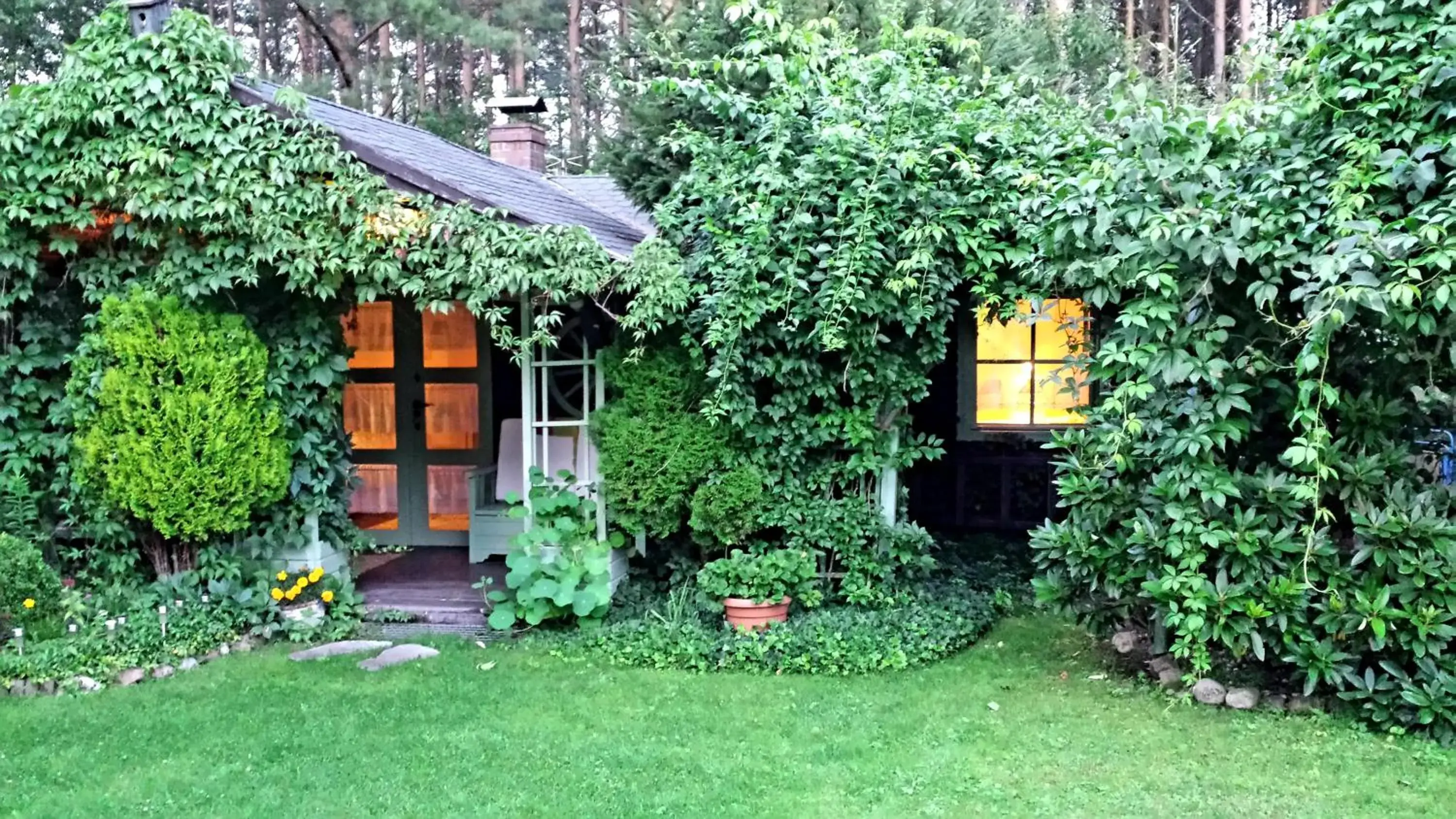 Domek Letniskowy na Kaszubach lub Apartament z Kominkiem Domek Letniskowy na Kaszubach lub Apartament z Kominkiem